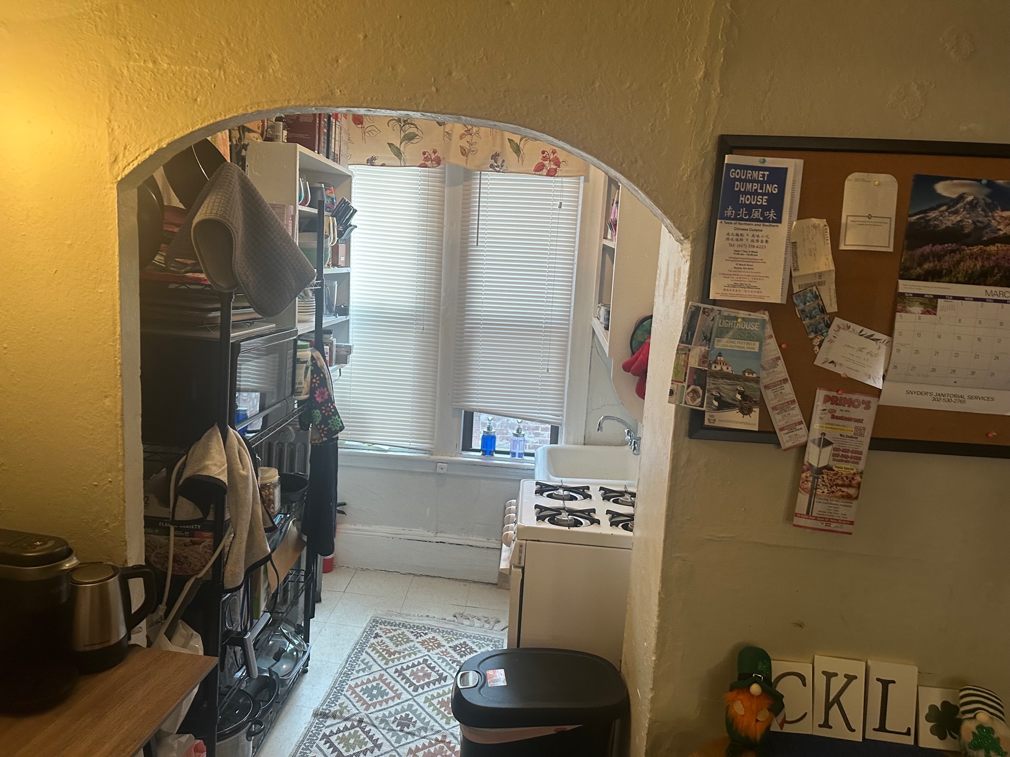 100 Myrtle St, Beacon Hill