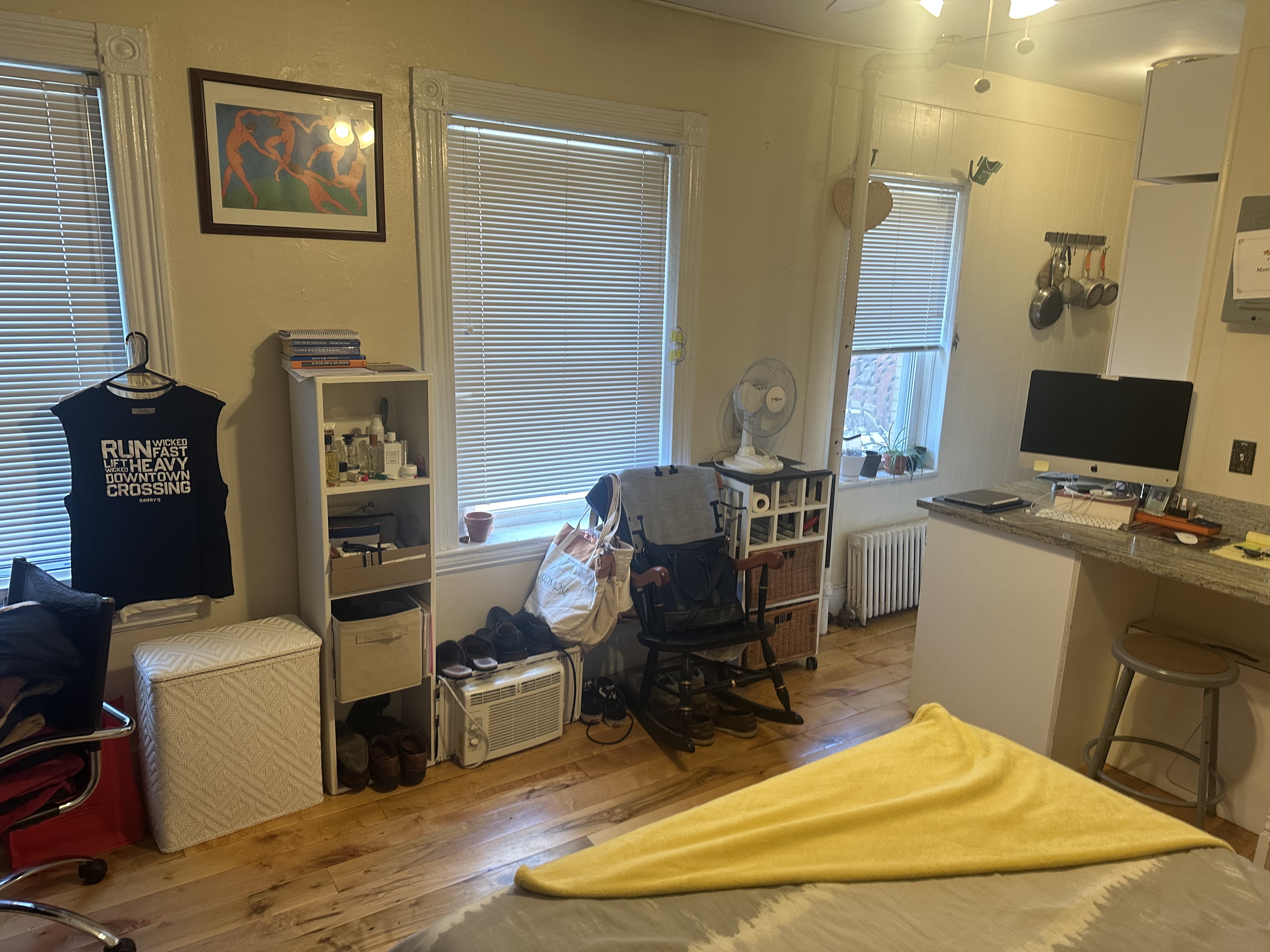 108 Myrtle St, Beacon Hill