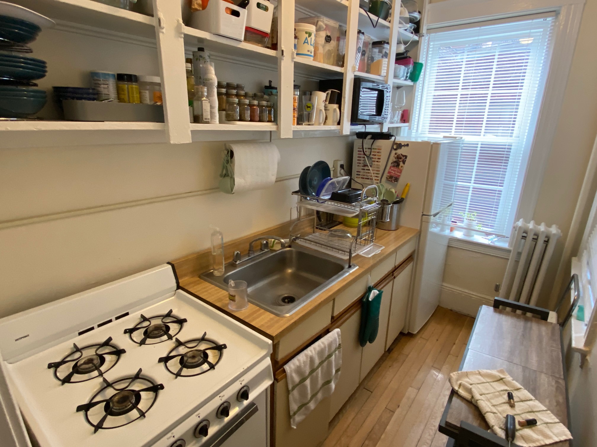 26 Myrtle St, Beacon Hill