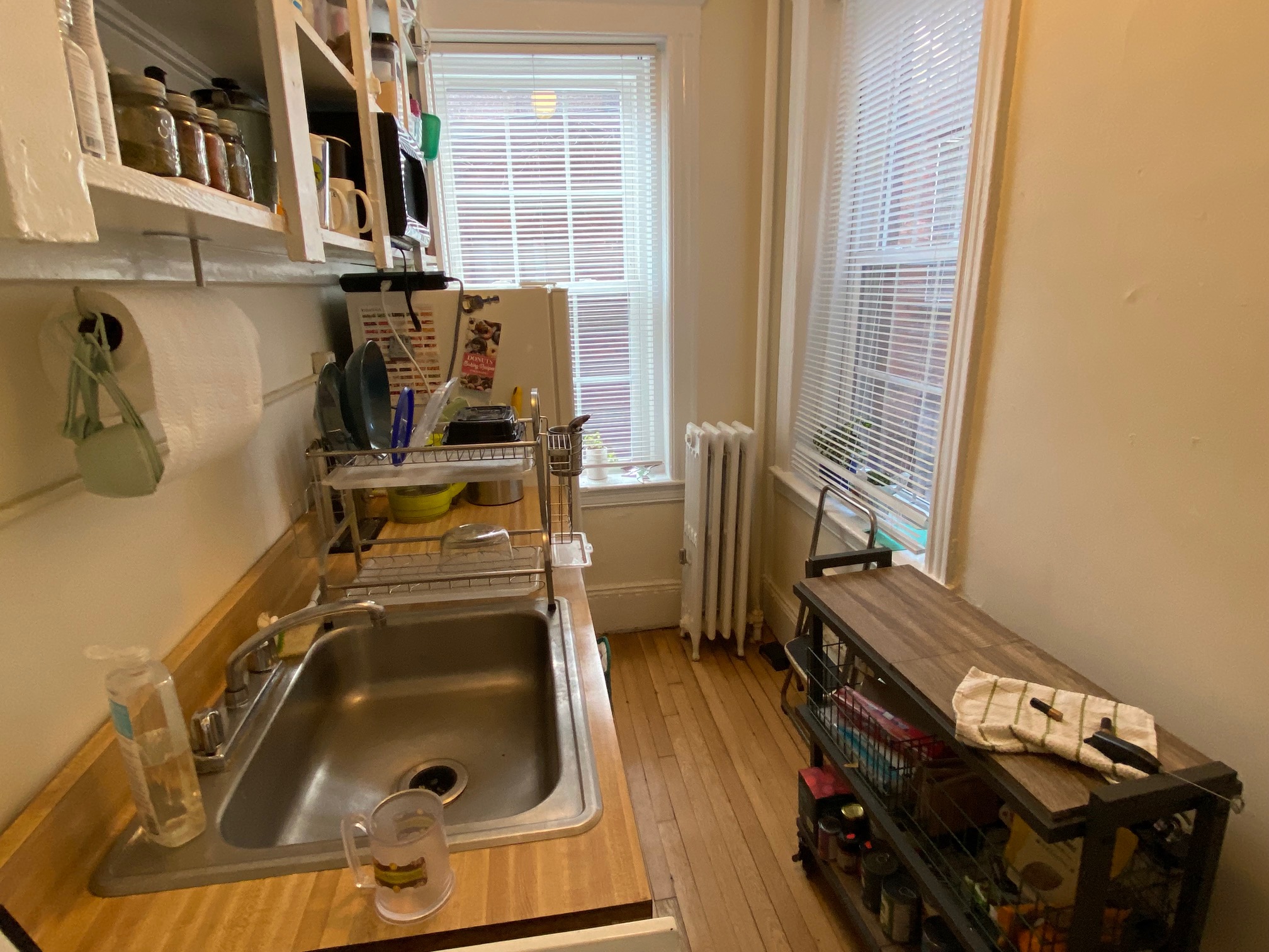 26 Myrtle St, Beacon Hill