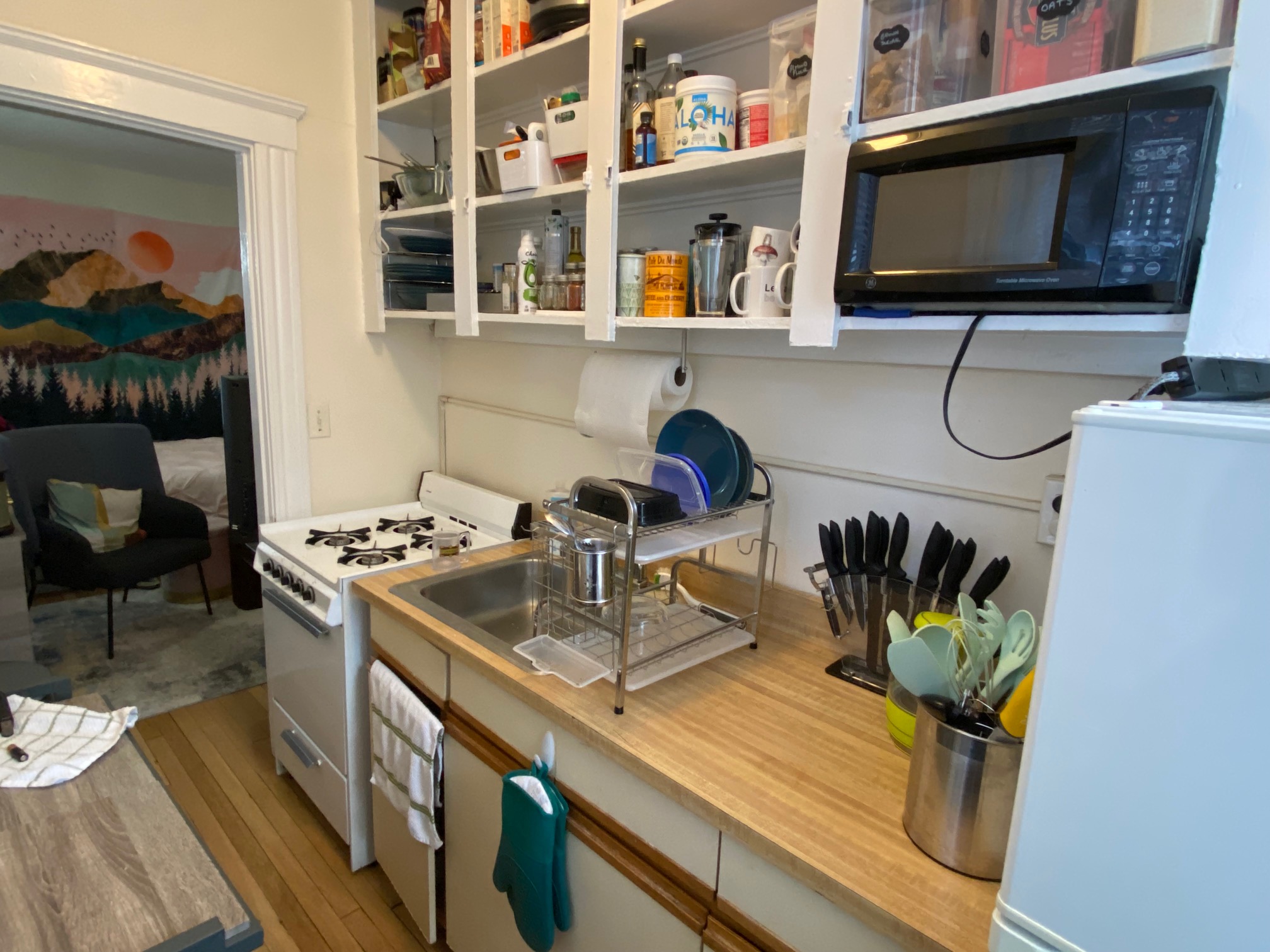 26 Myrtle St, Beacon Hill