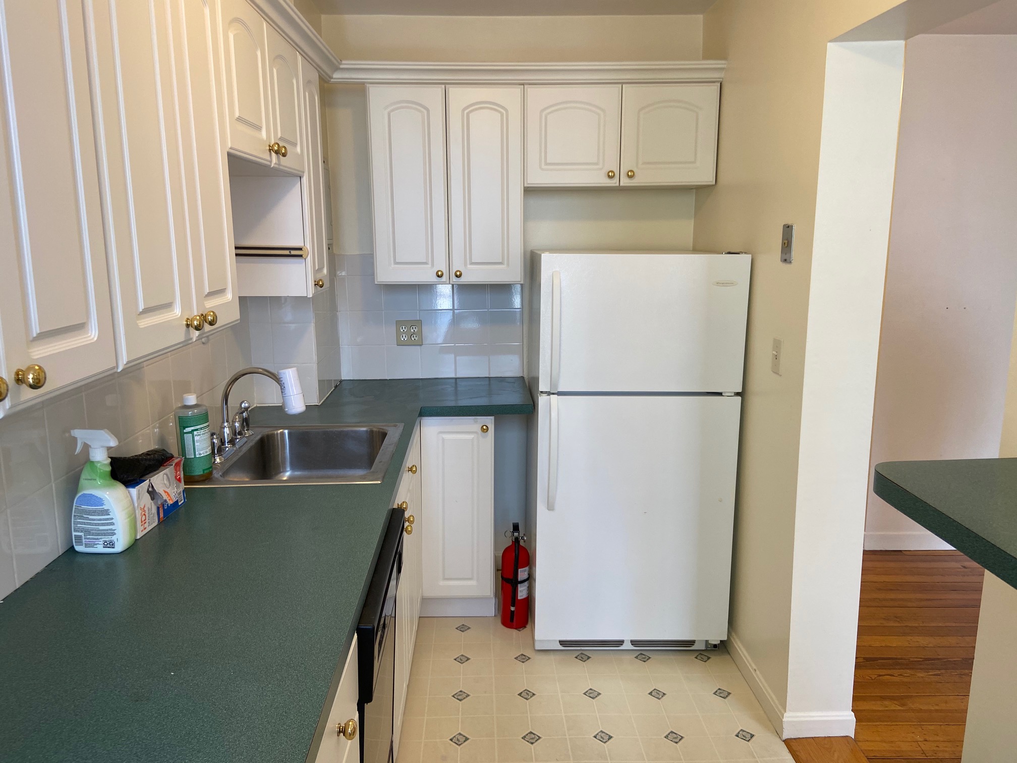 68 Myrtle St, Beacon Hill