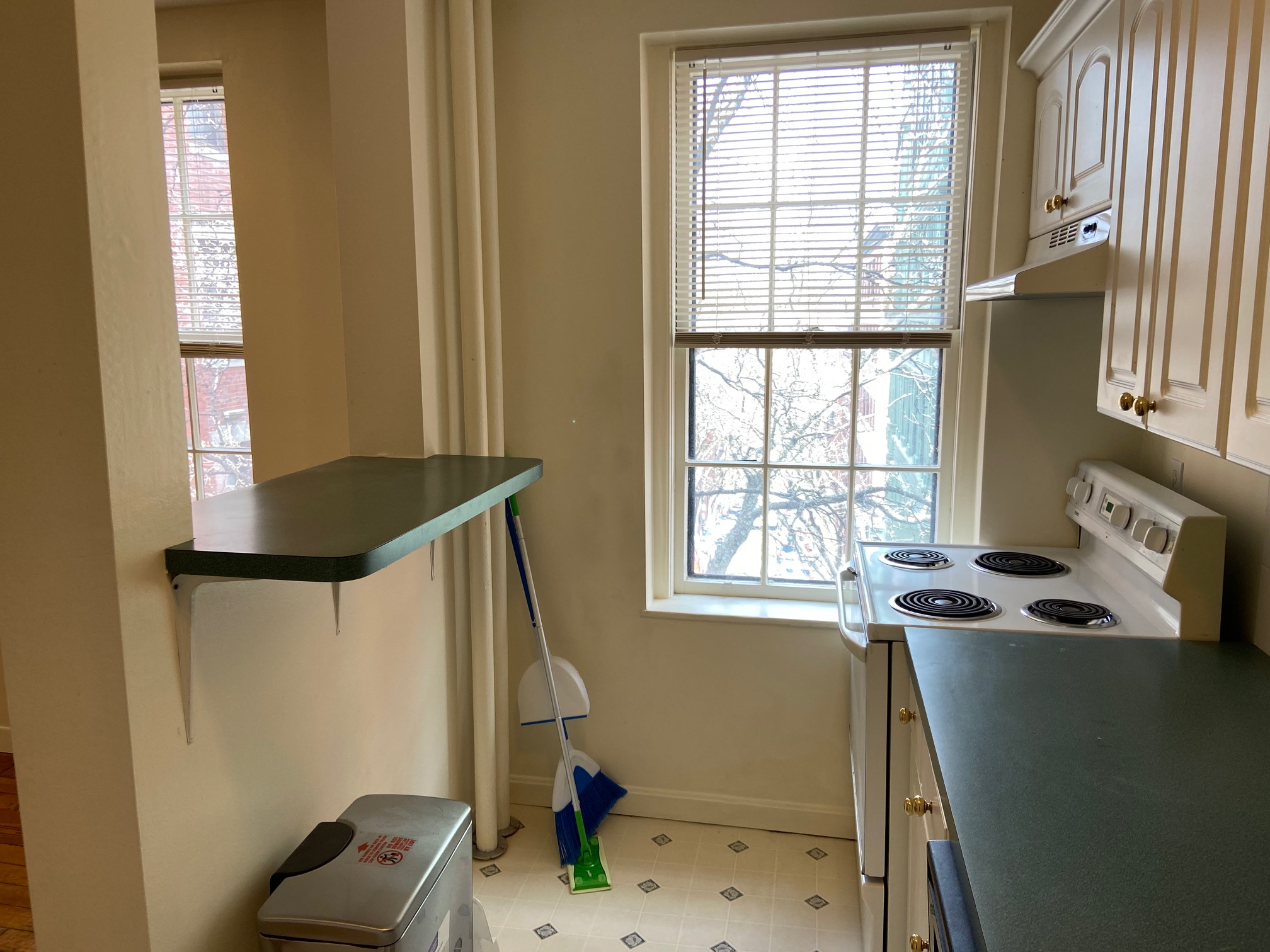 68 Myrtle St, Beacon Hill