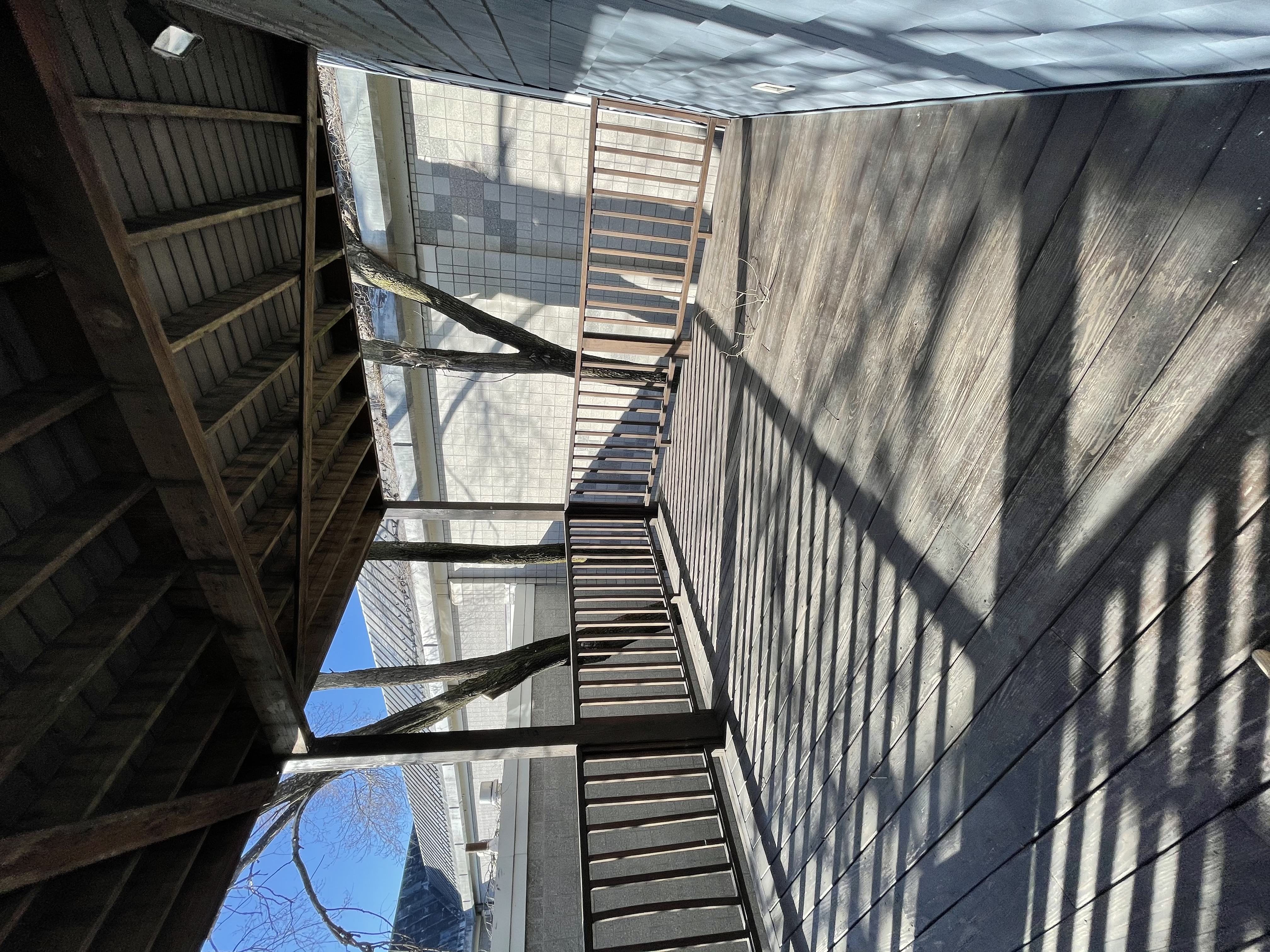 5 Transit St, South Boston