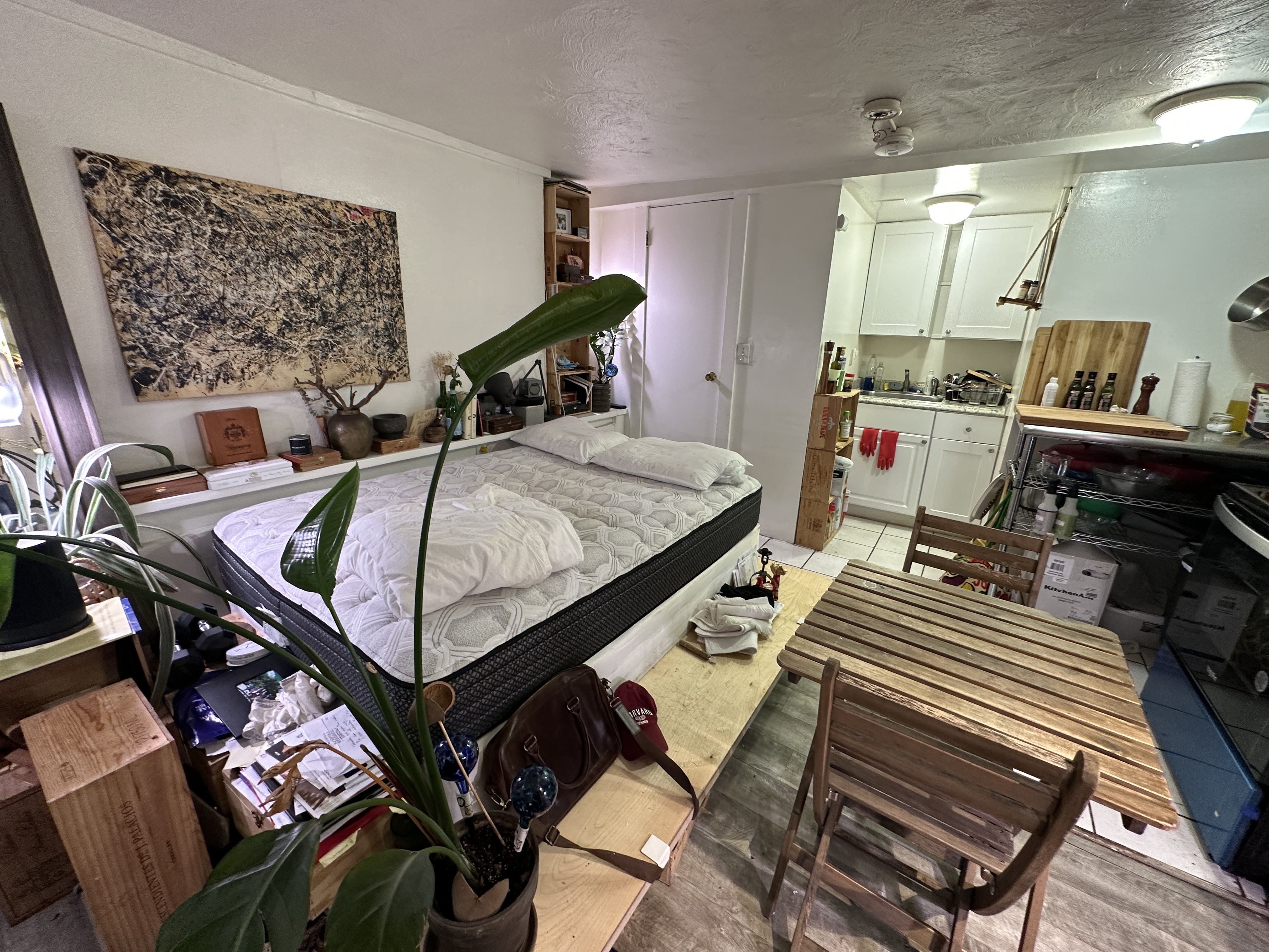 40 Anderson St, Beacon Hill