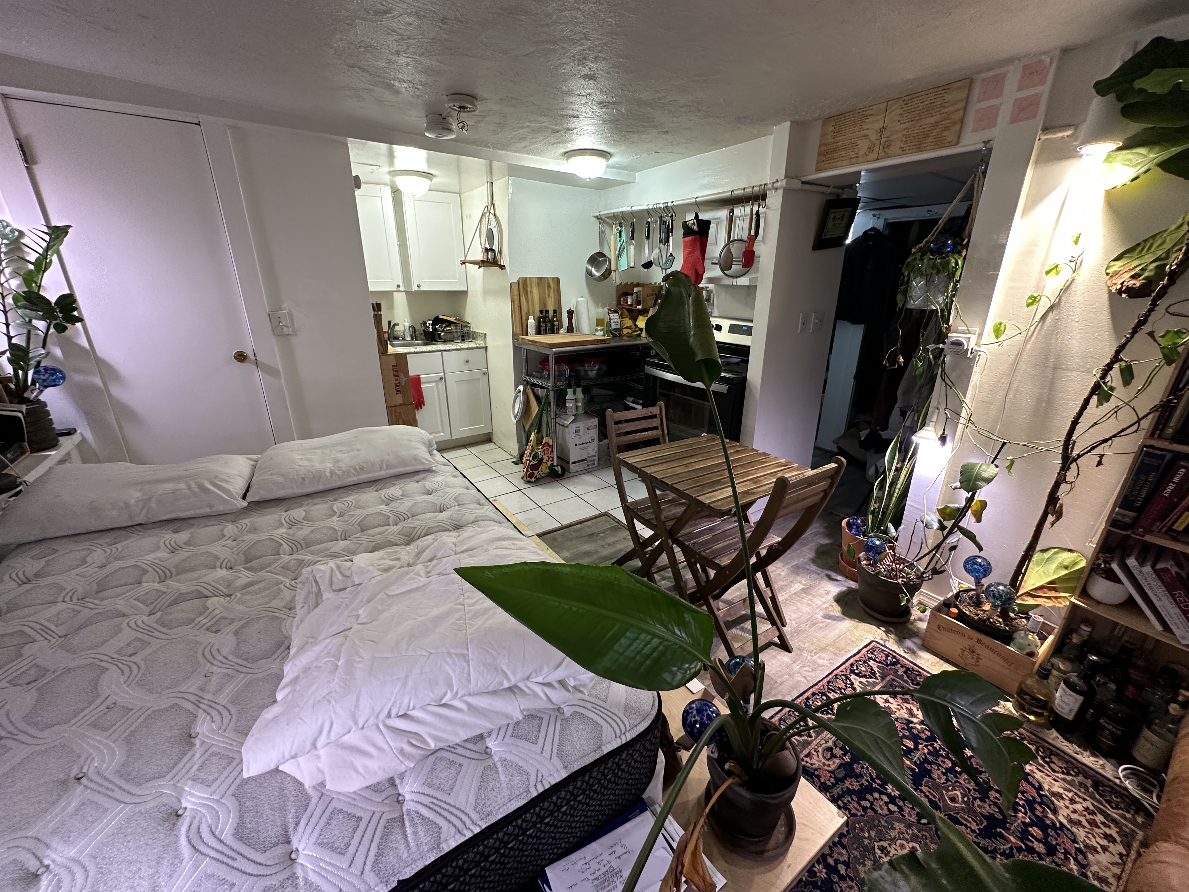 40 Anderson St, Beacon Hill