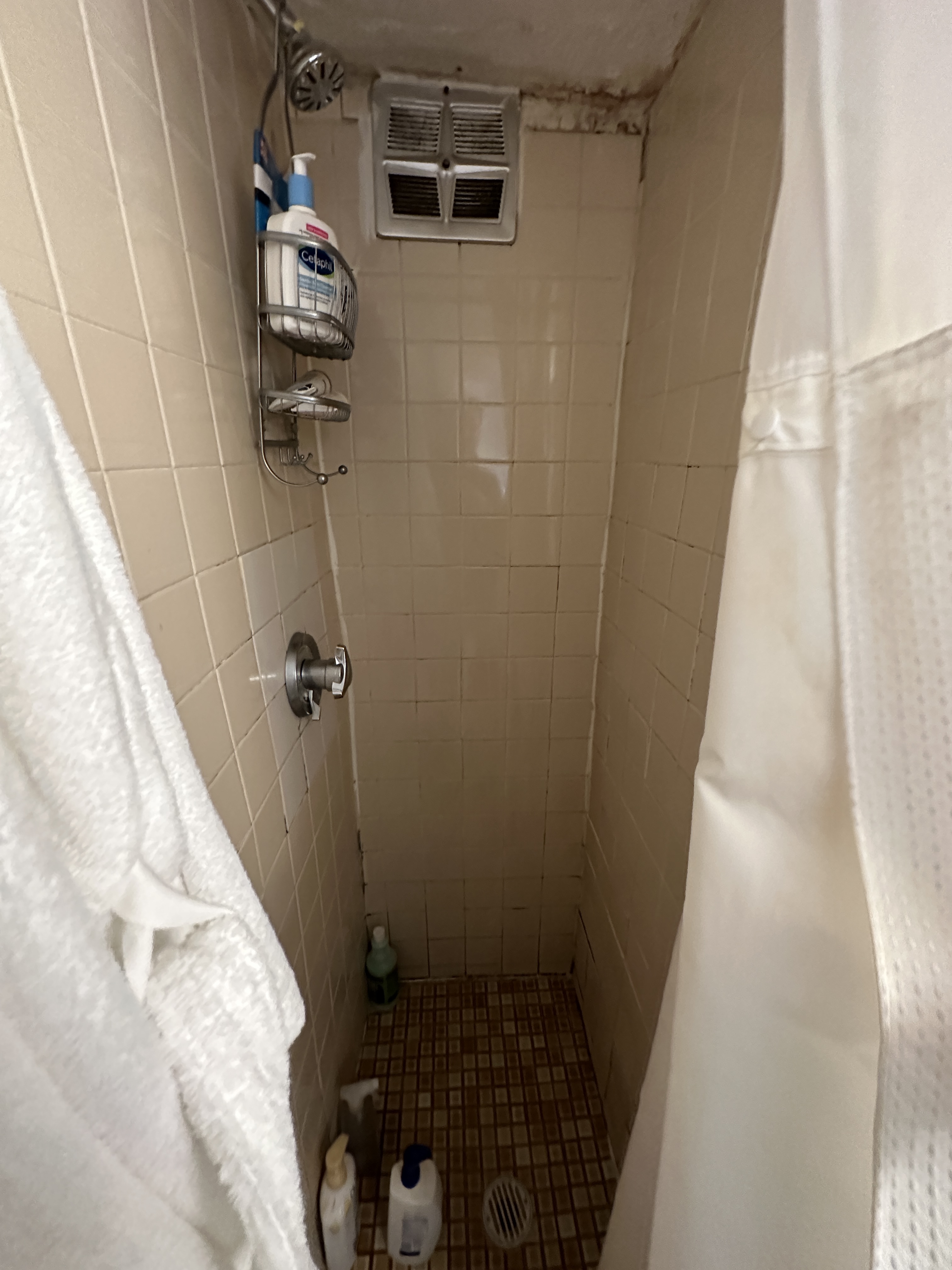 40 Anderson St, Beacon Hill