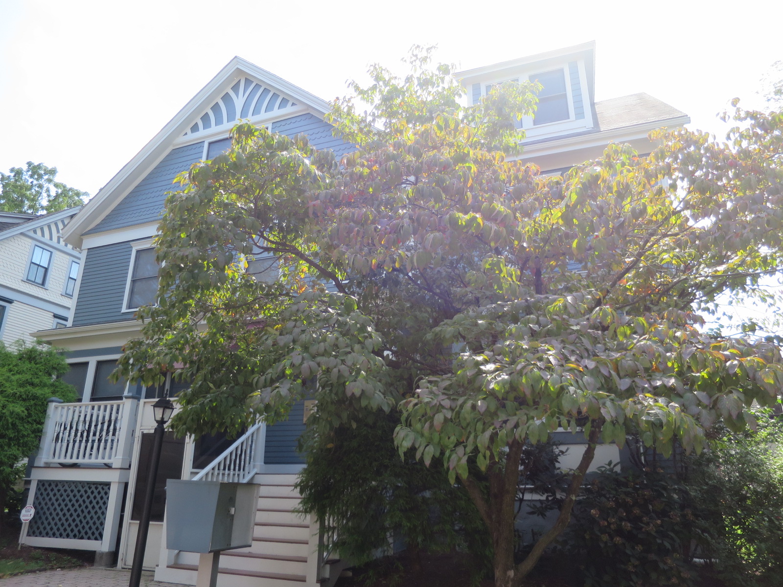 364 Harvard At, Harvard Square