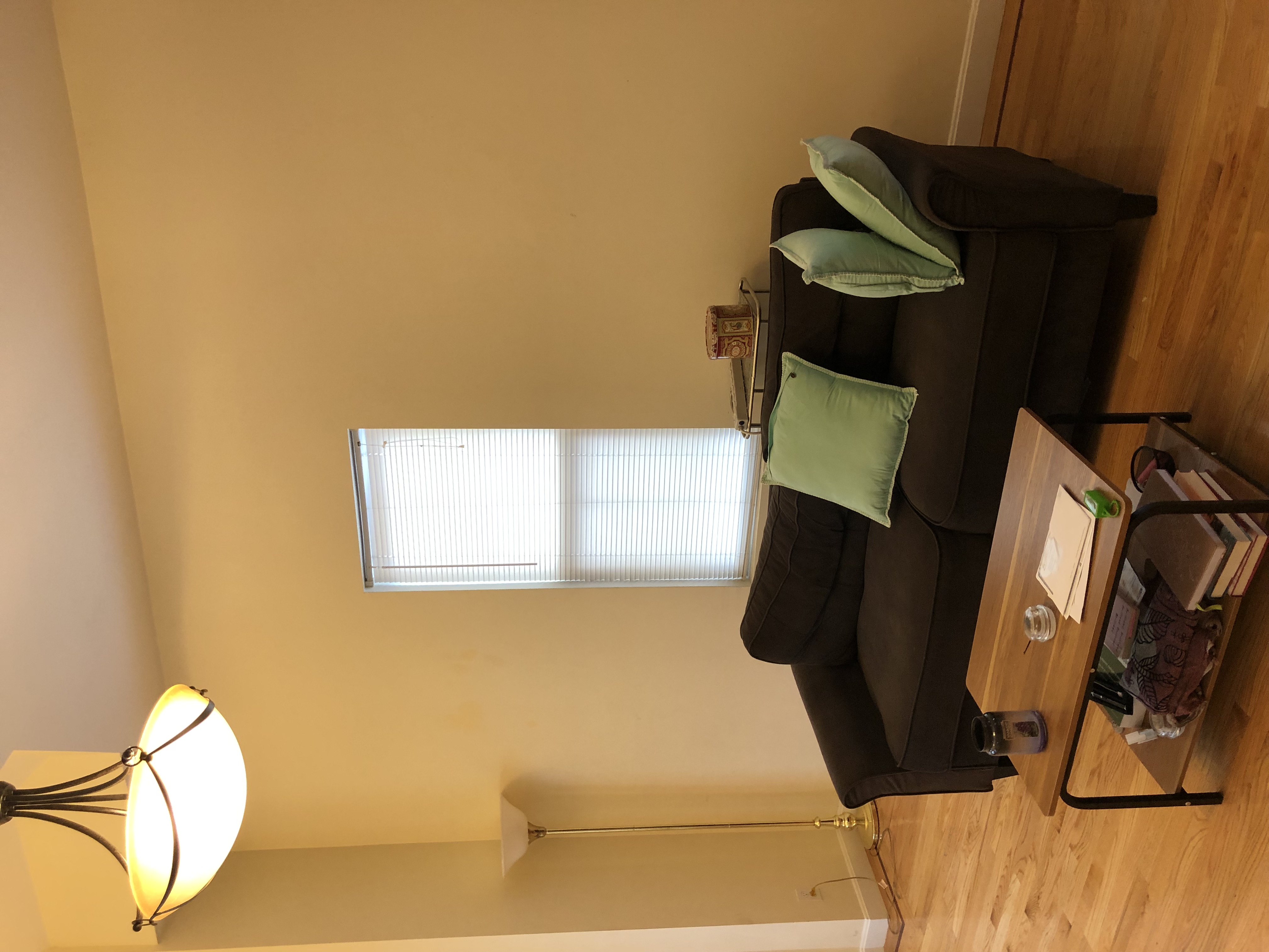 233 Boylston St, Brookline Village