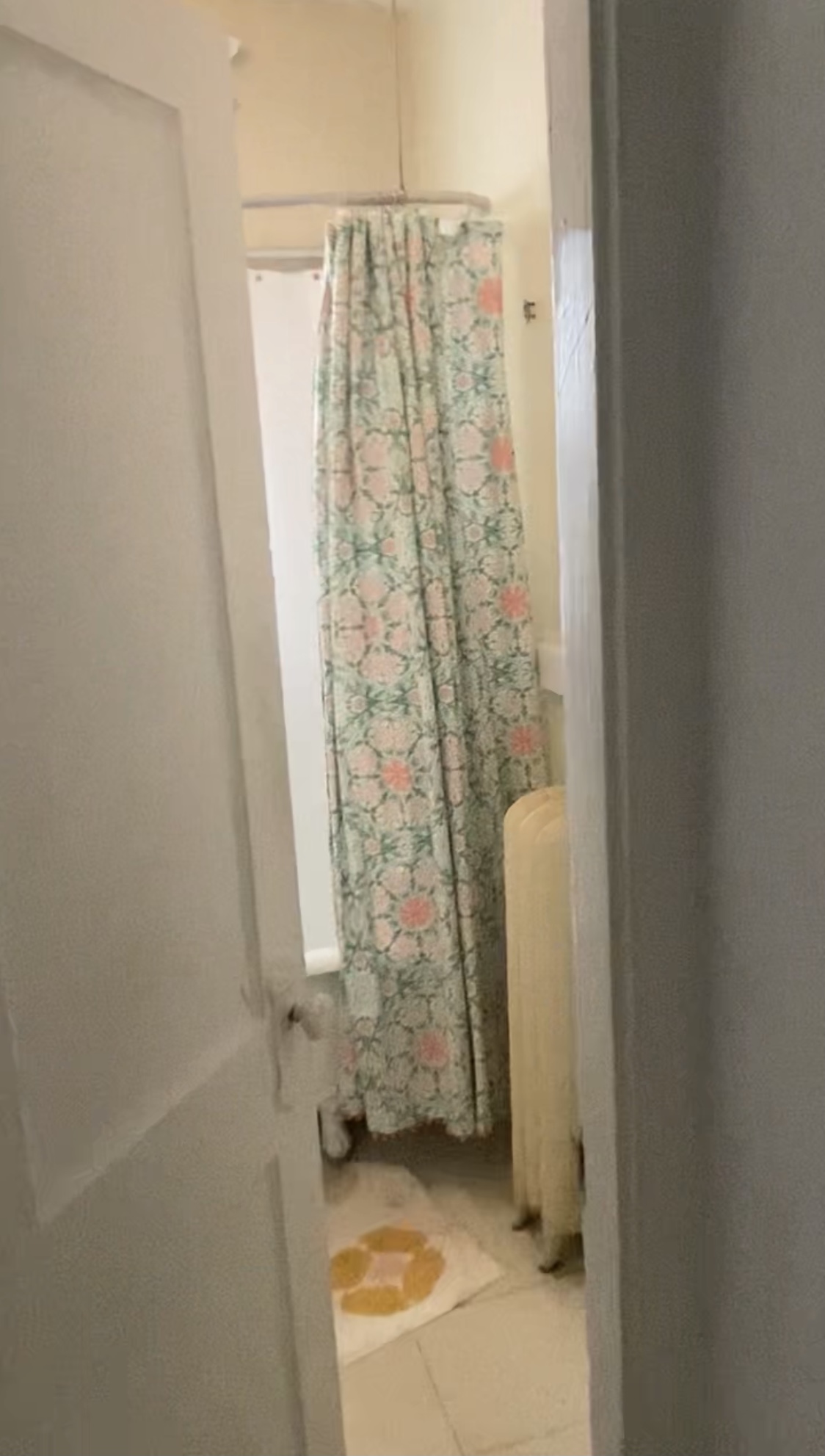 95 Gordon St, Brighton