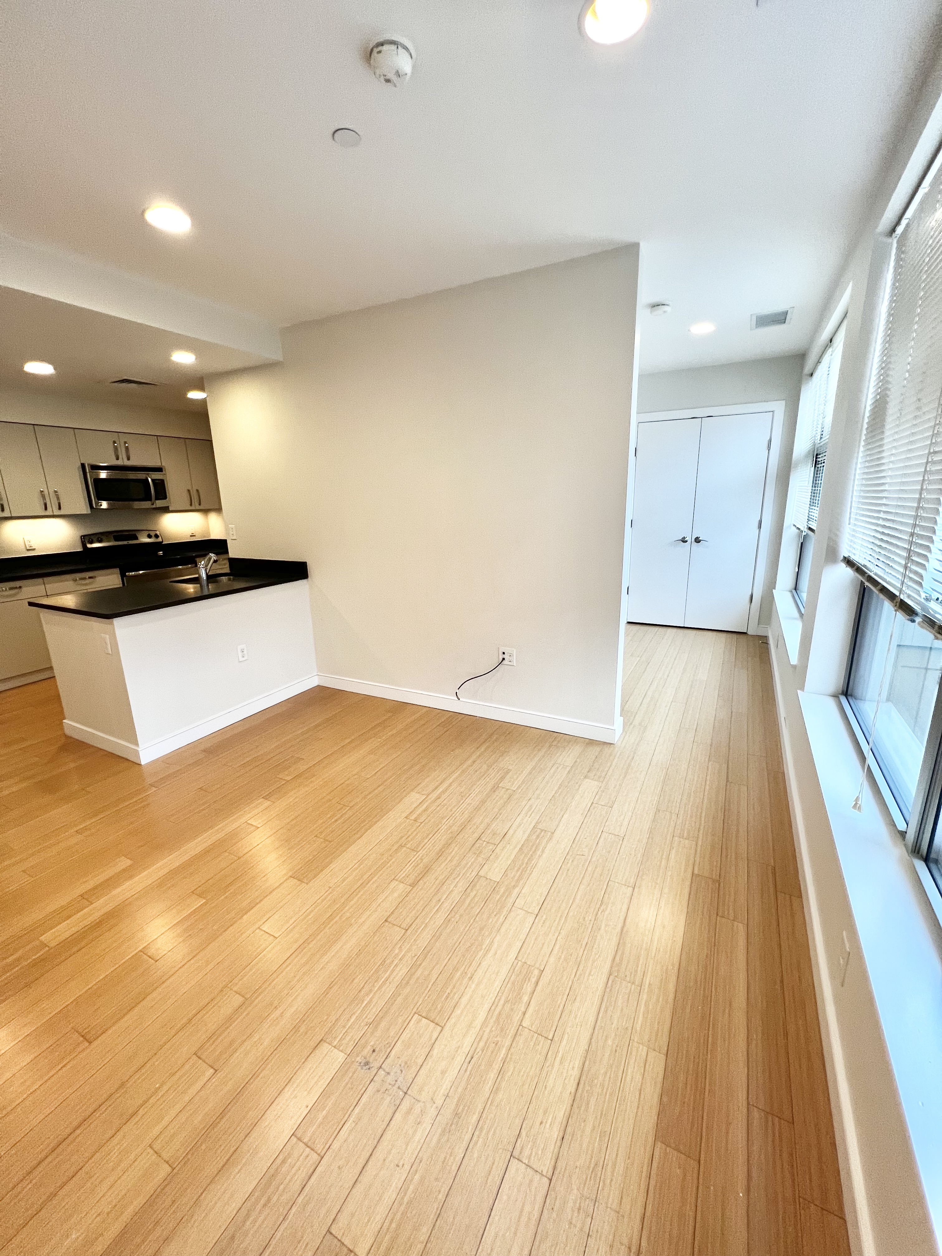 599 Albany St, South Boston