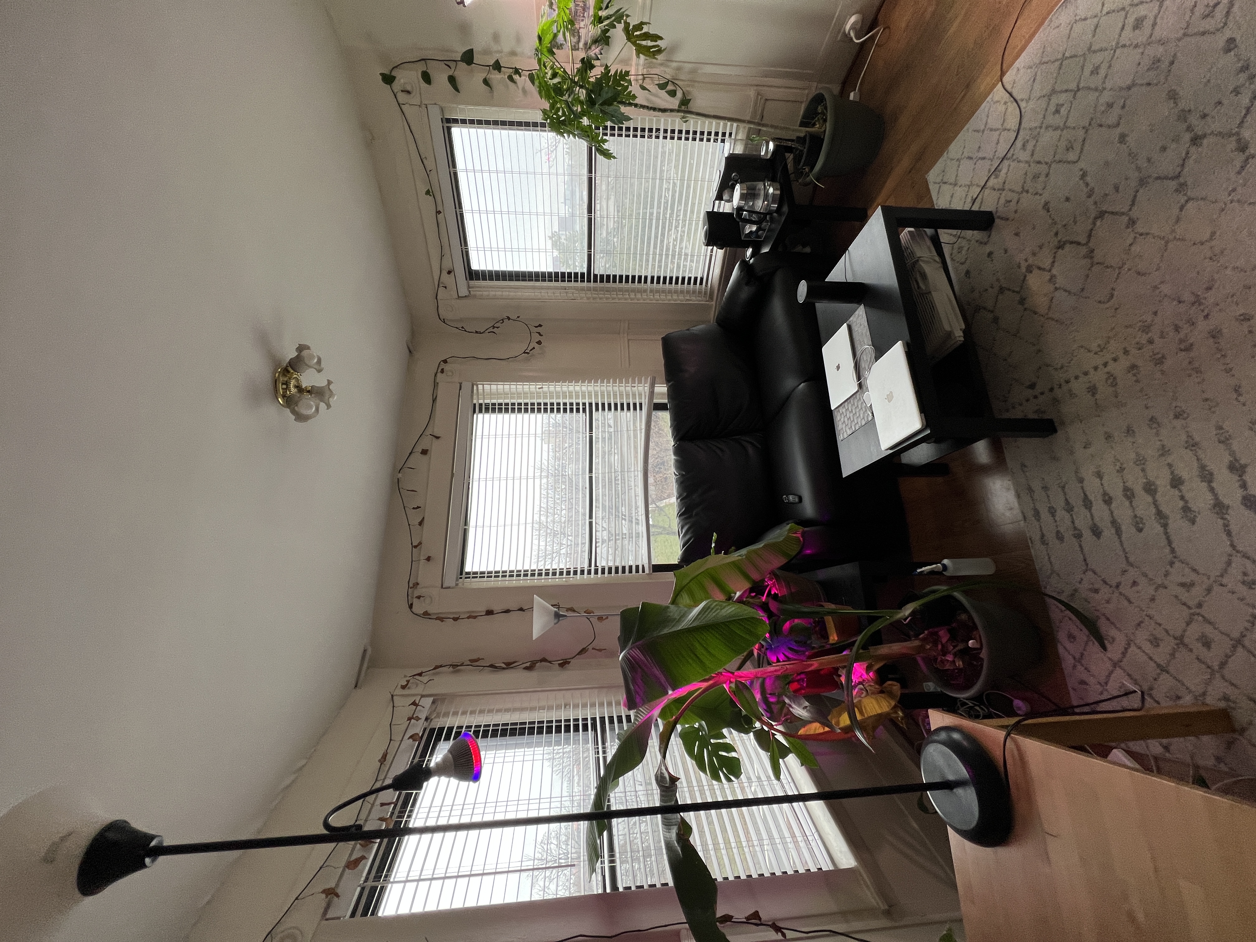 27 Bay State Rd, Back Bay