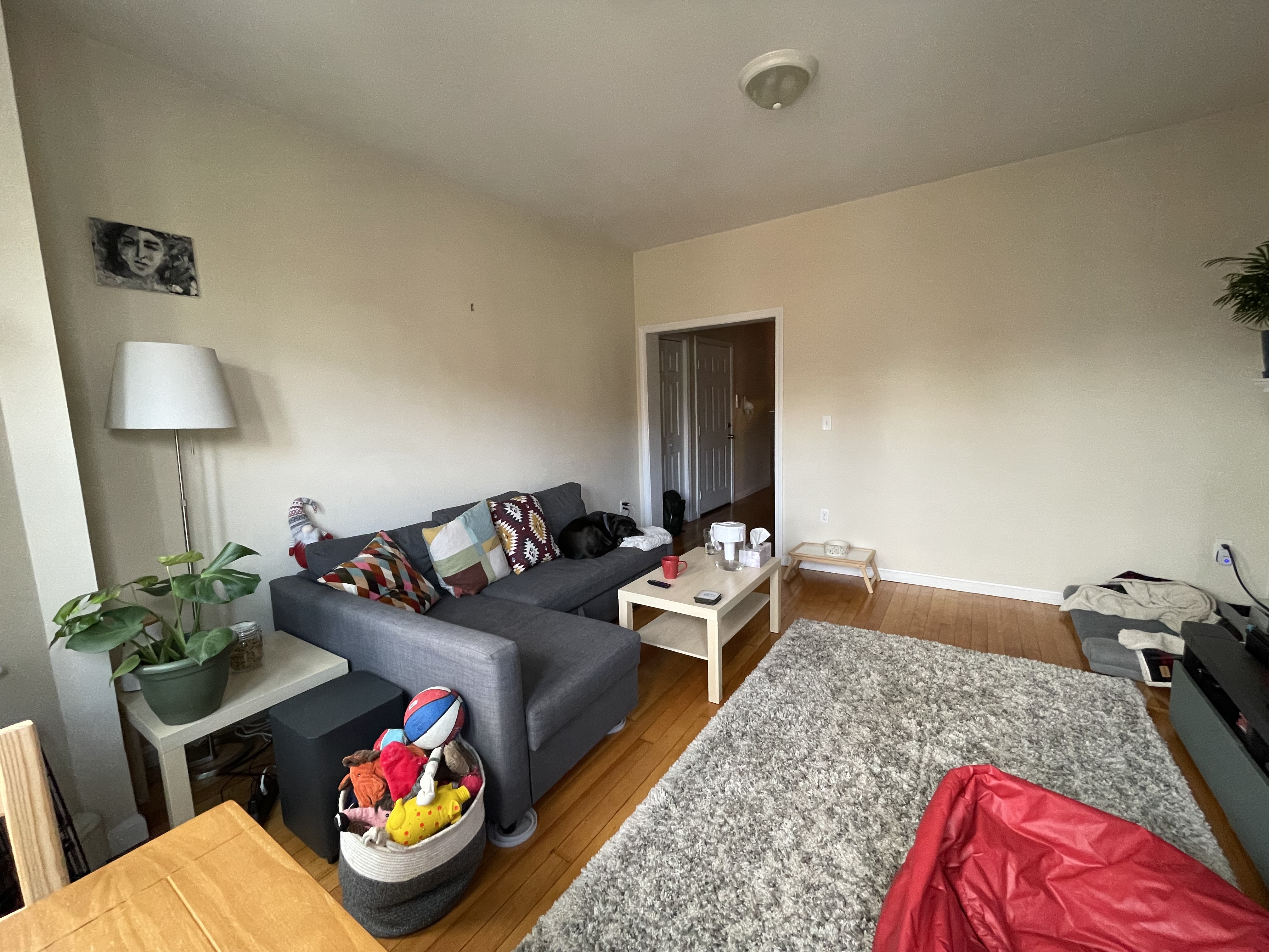 211 Harvard Ave, Allston