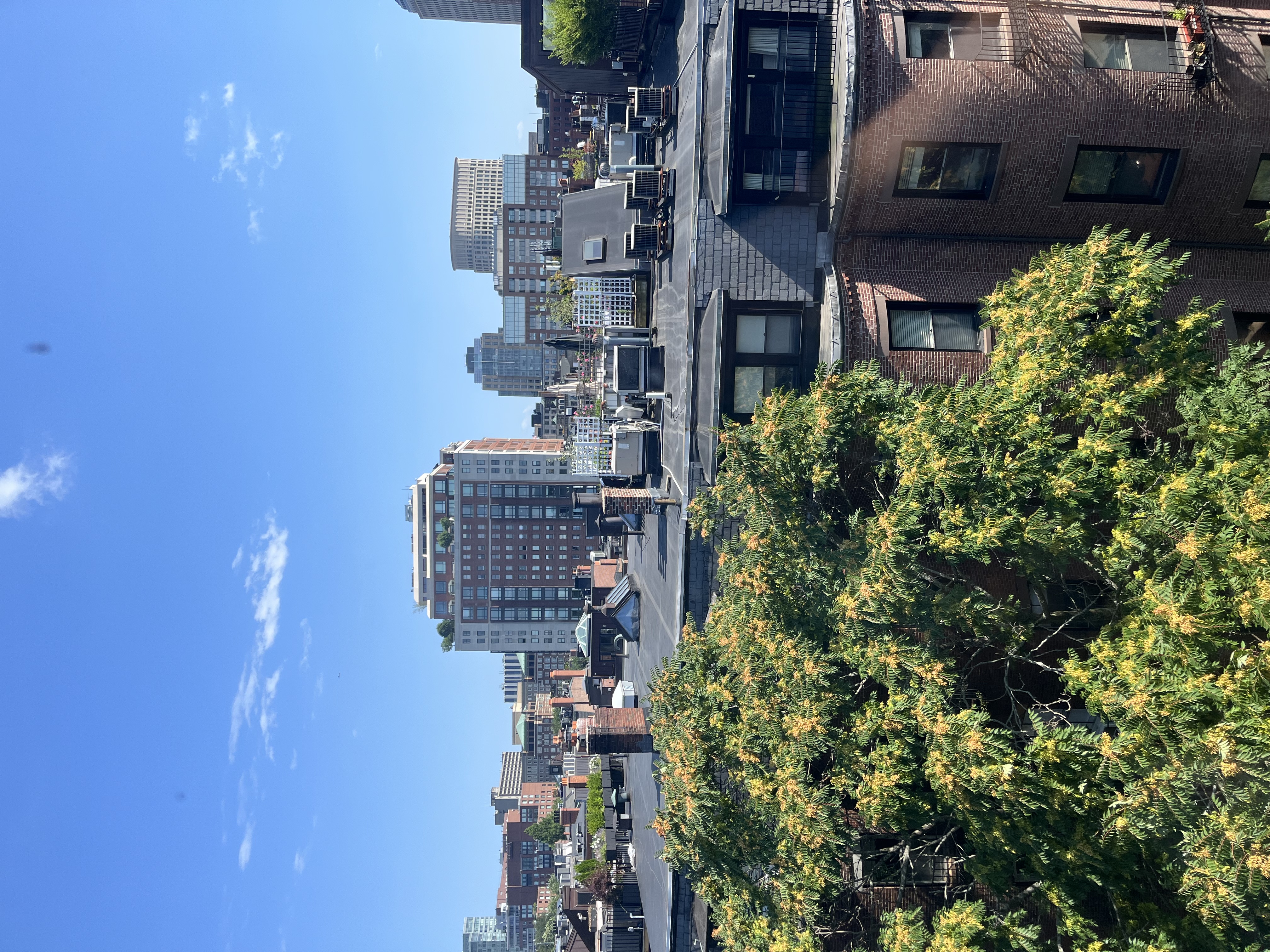 113 Beacon St, Back Bay