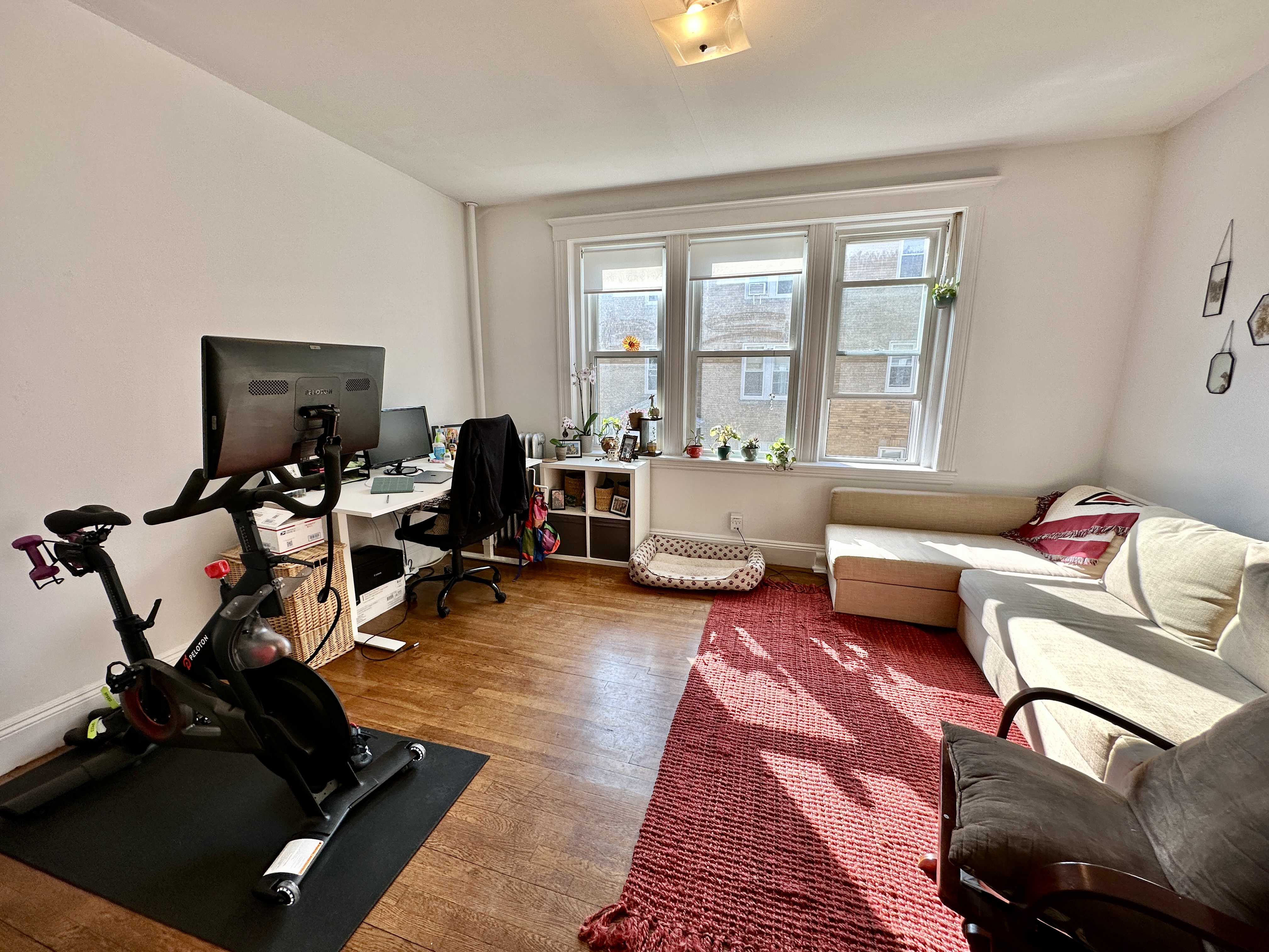 81 Winchester St, Coolidge Corner