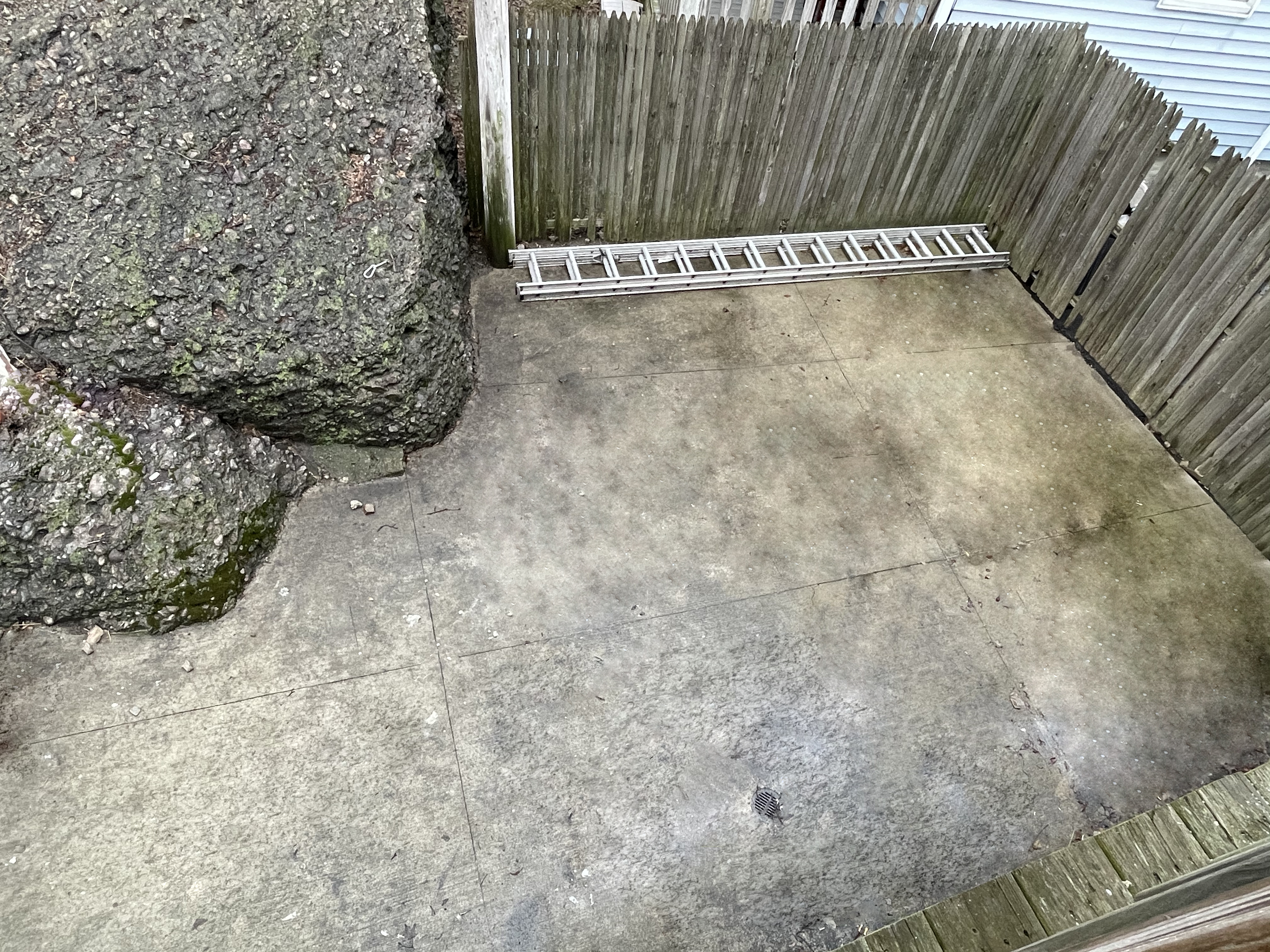 53 Marcella, Roxbury