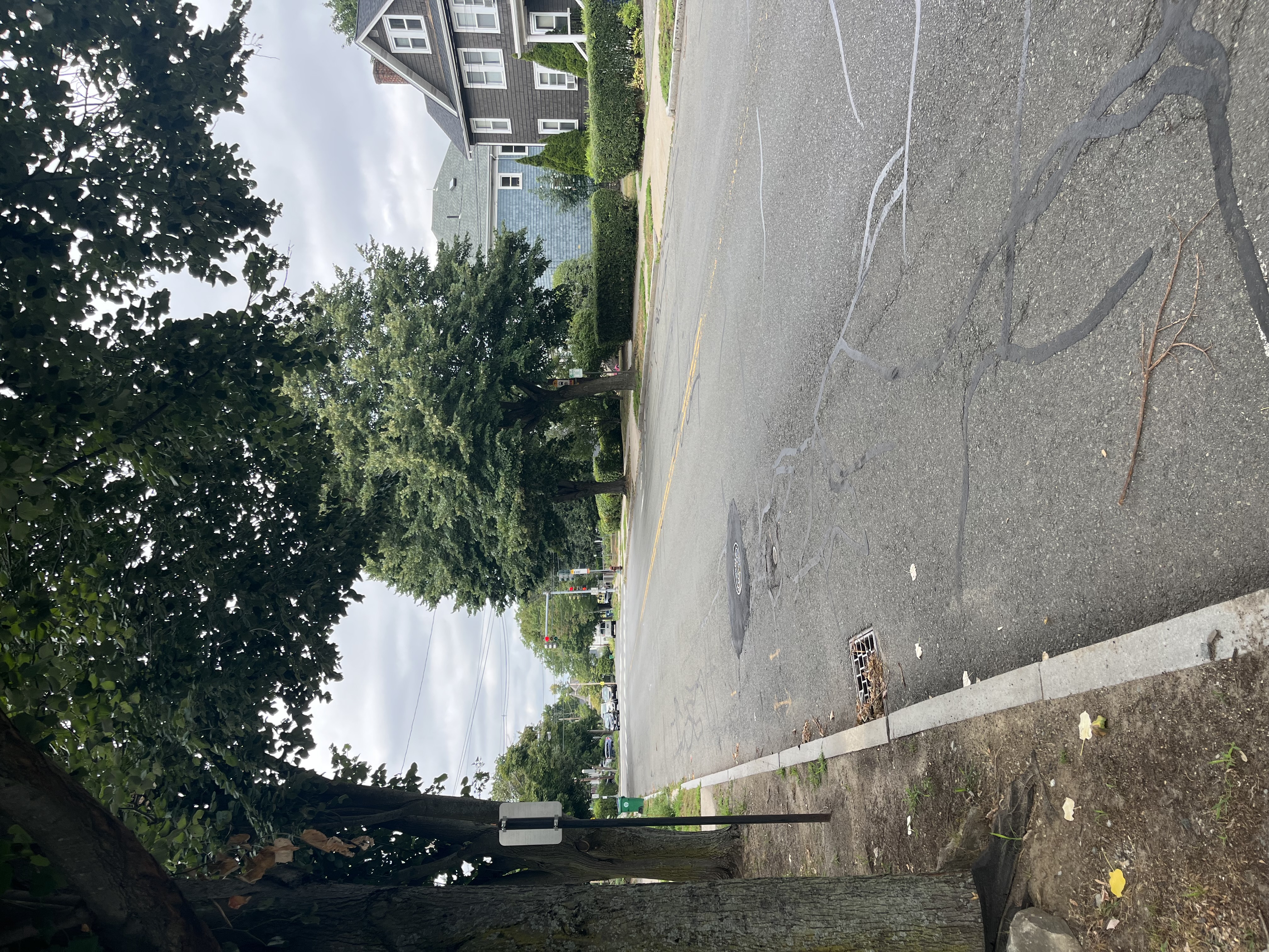 241 Tremont St, Newton