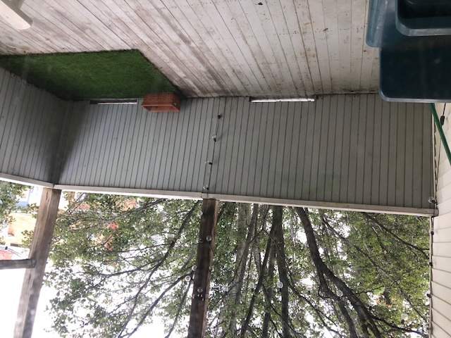 21 Wheeler St, East Somerville