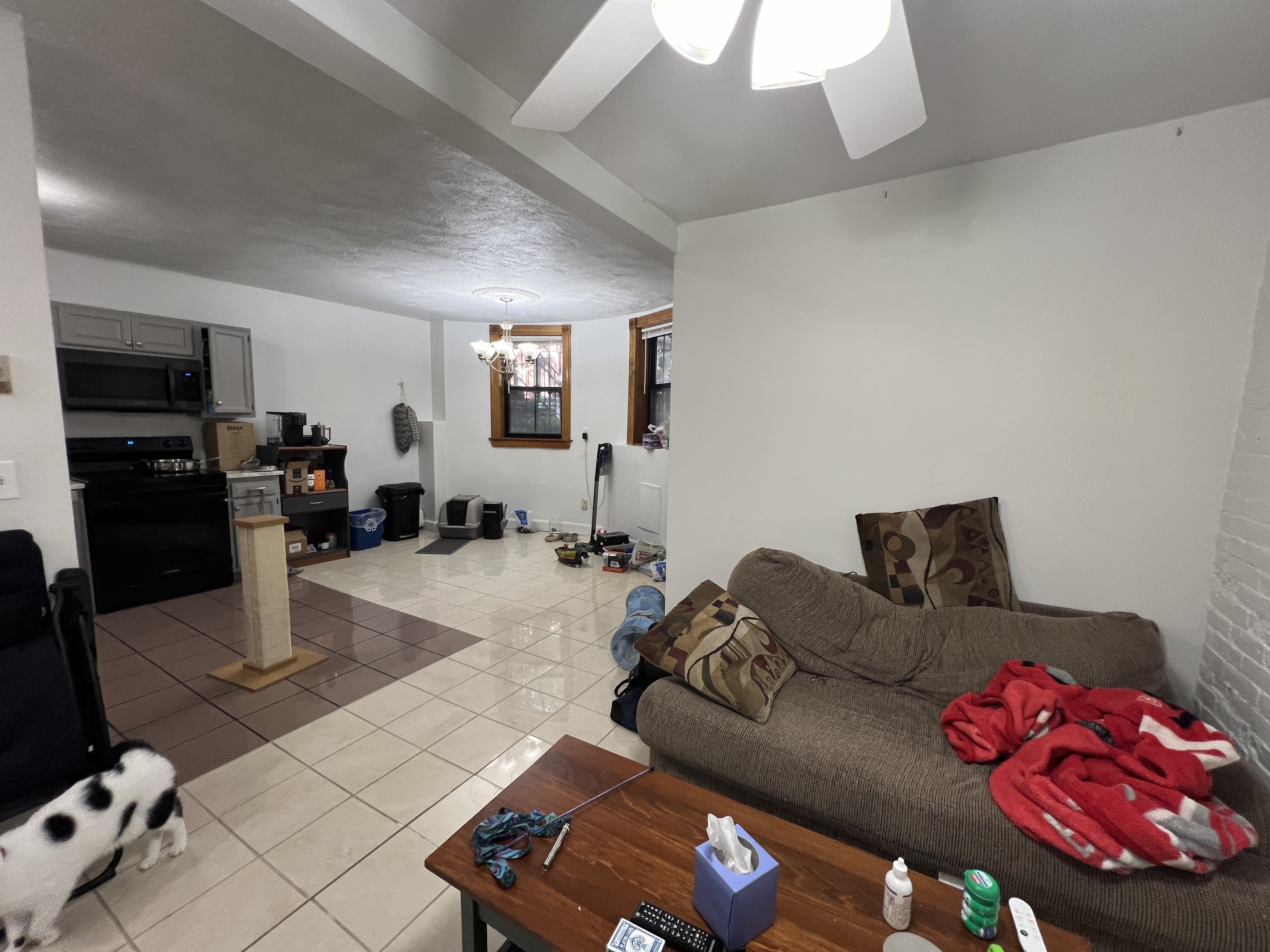 41 East Springfield St, South End