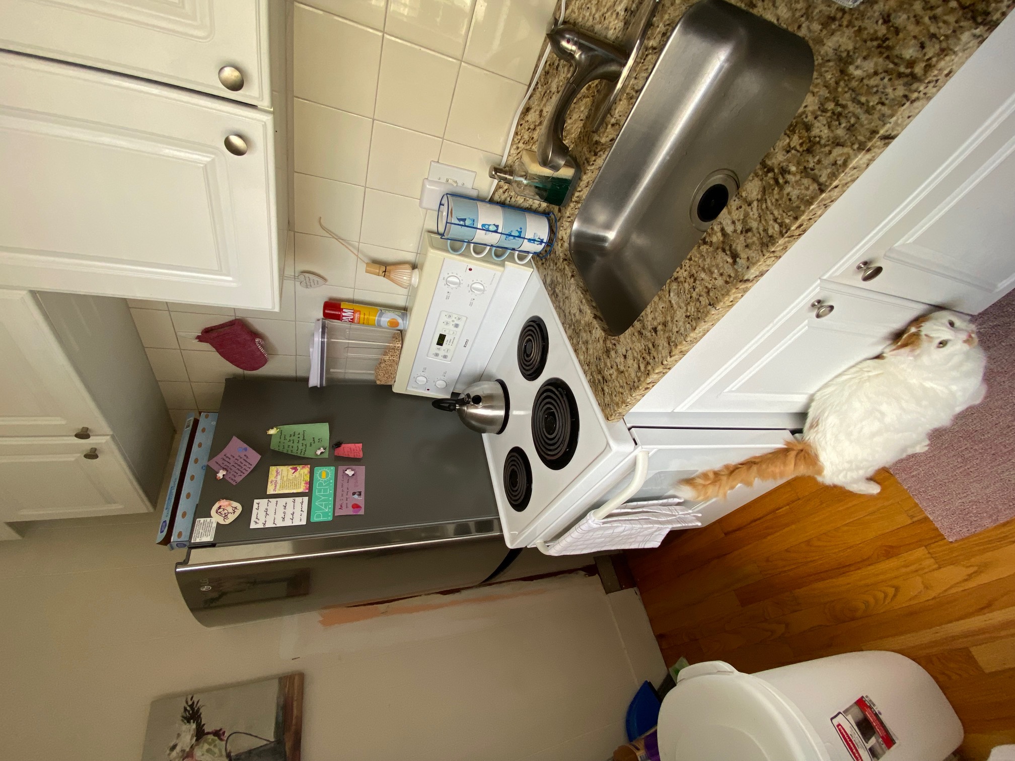 108 Myrtle St, Beacon Hill