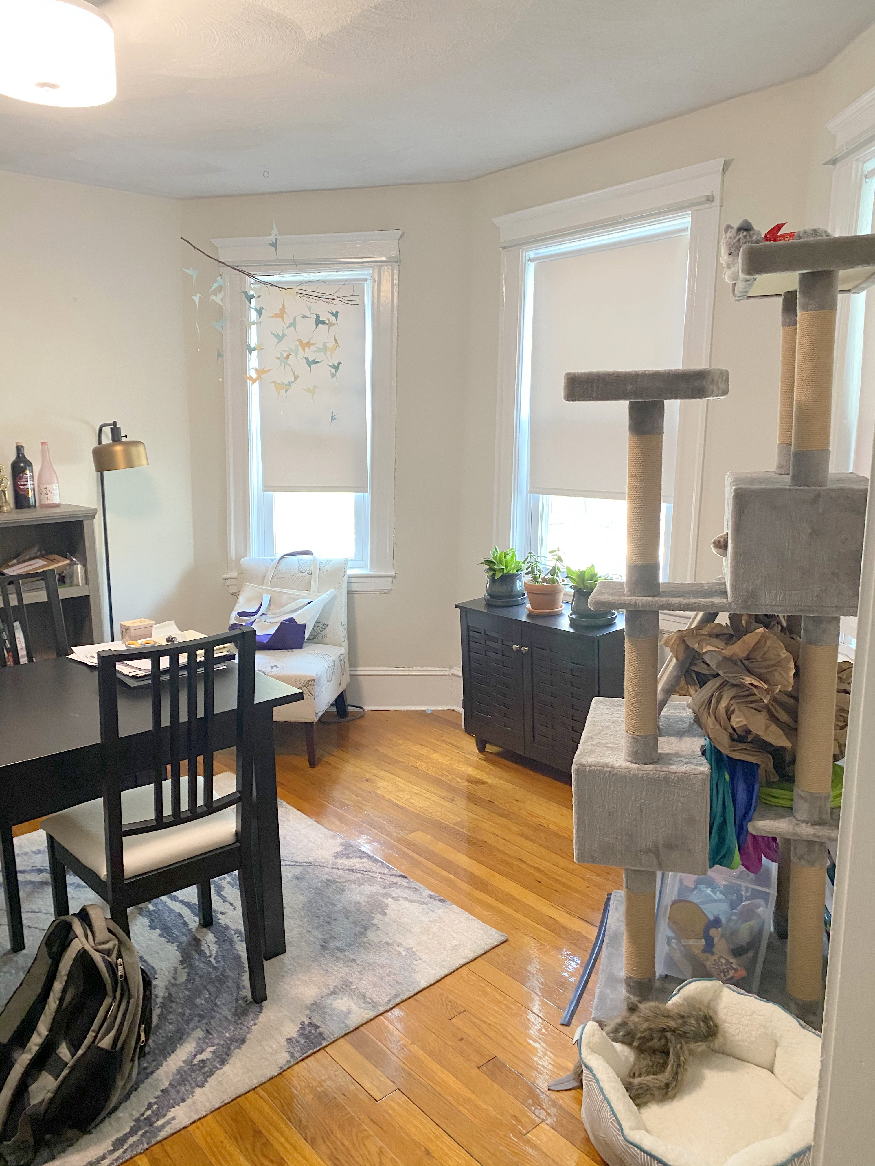 198 Walden St, Neighborhood Nine