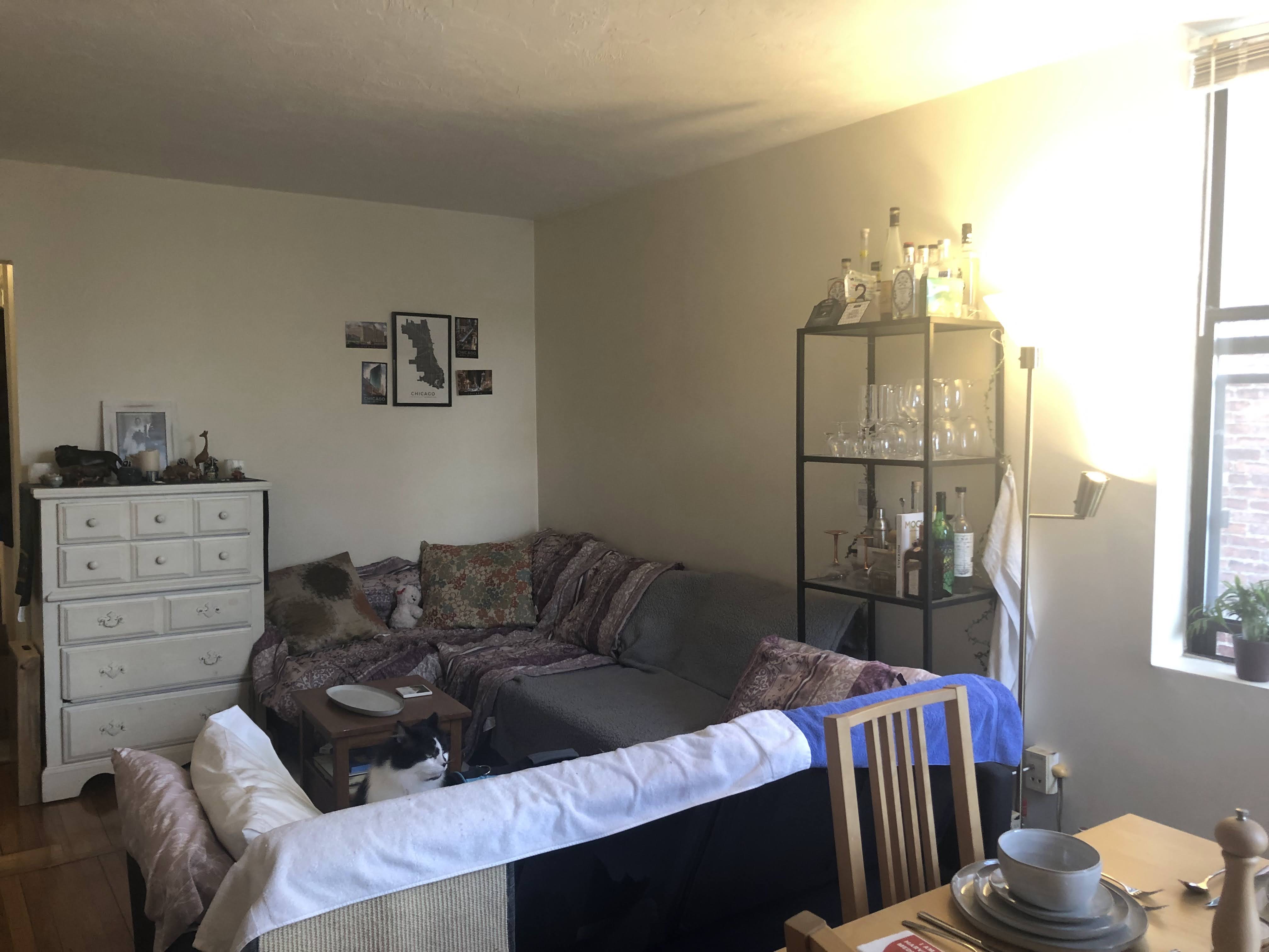 57 Longwood Ave, Coolidge Corner