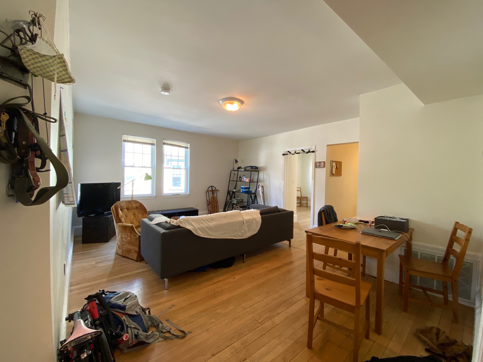 3 Oxford Ave, Waverley Square