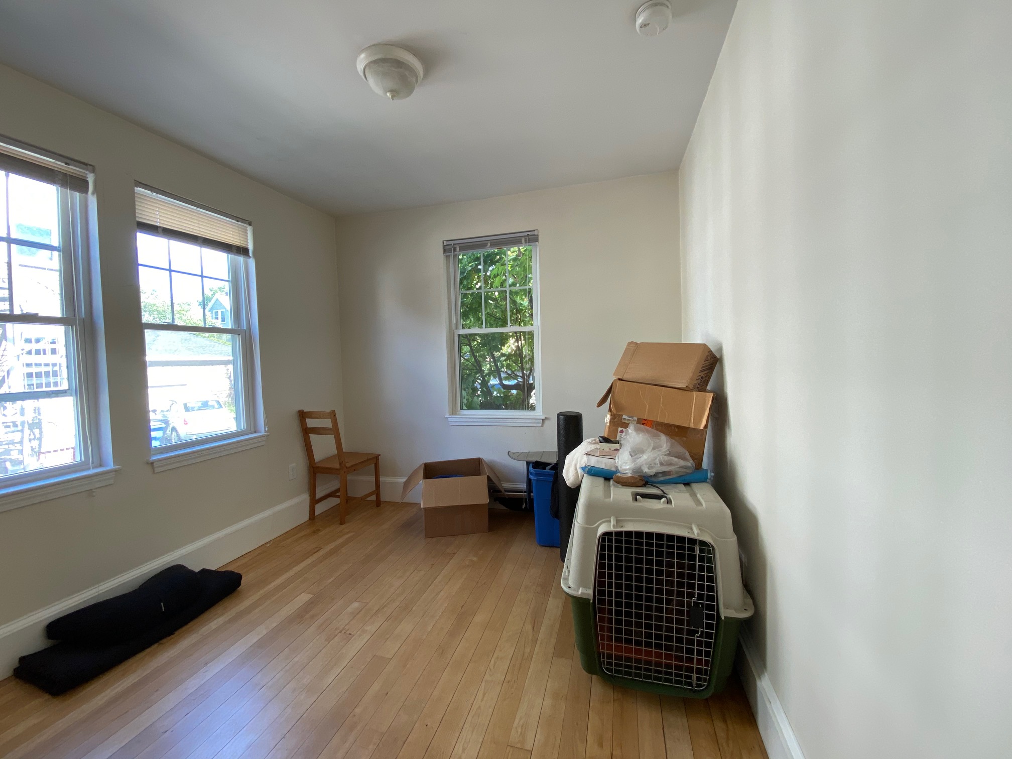 3 Oxford Ave, Waverley Square