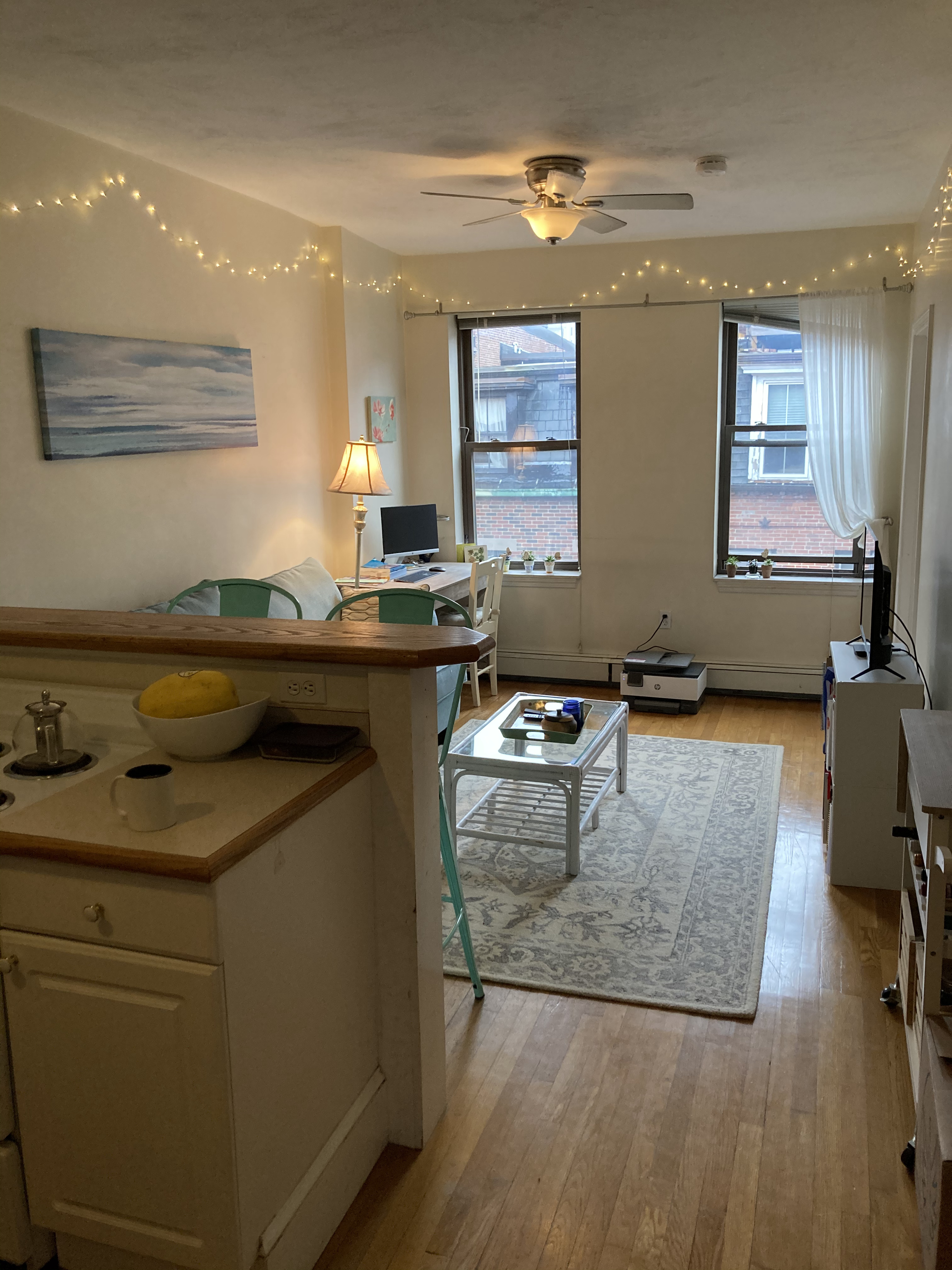 15 Irving St, Beacon Hill