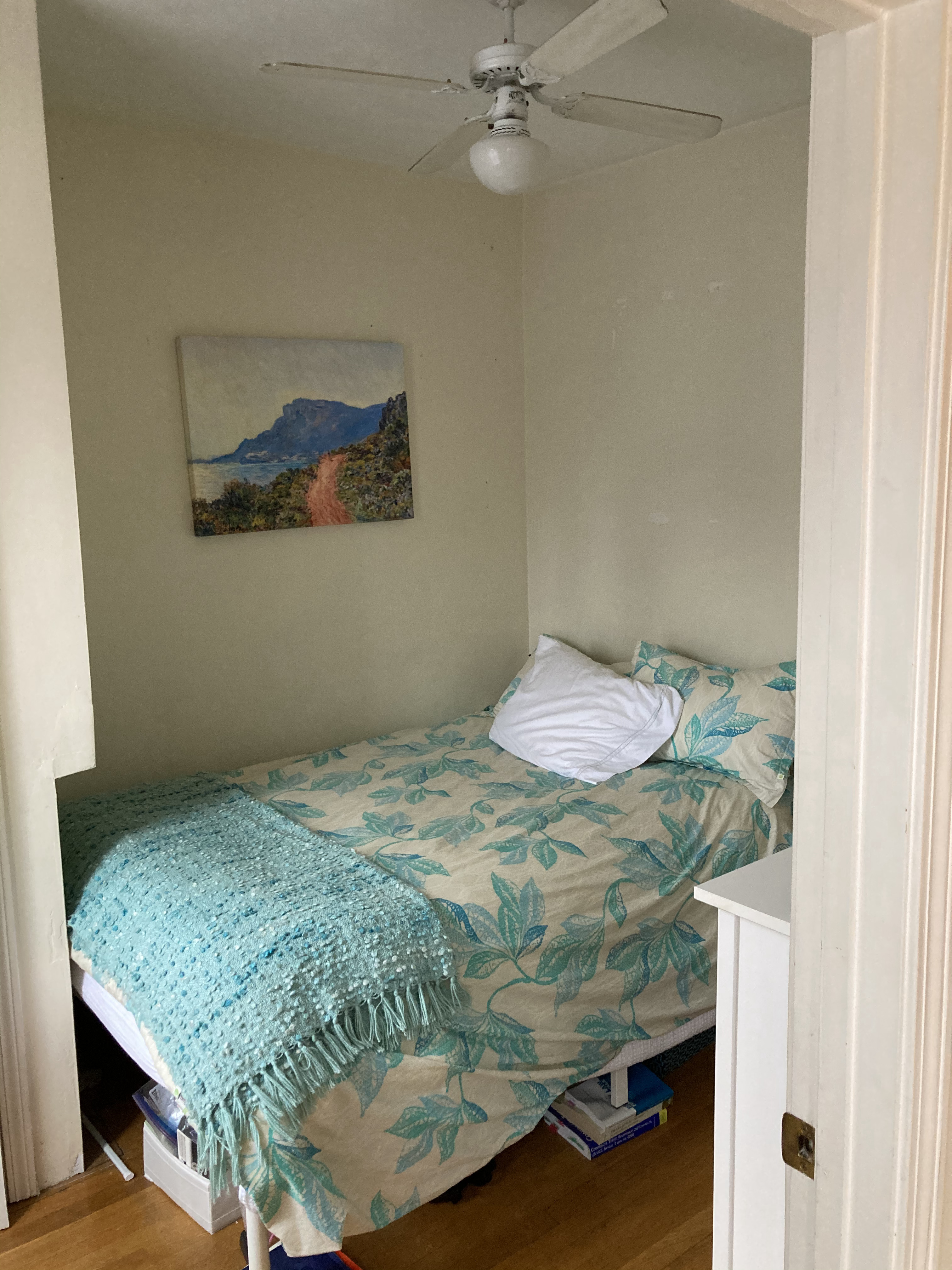 15 Irving St, Beacon Hill