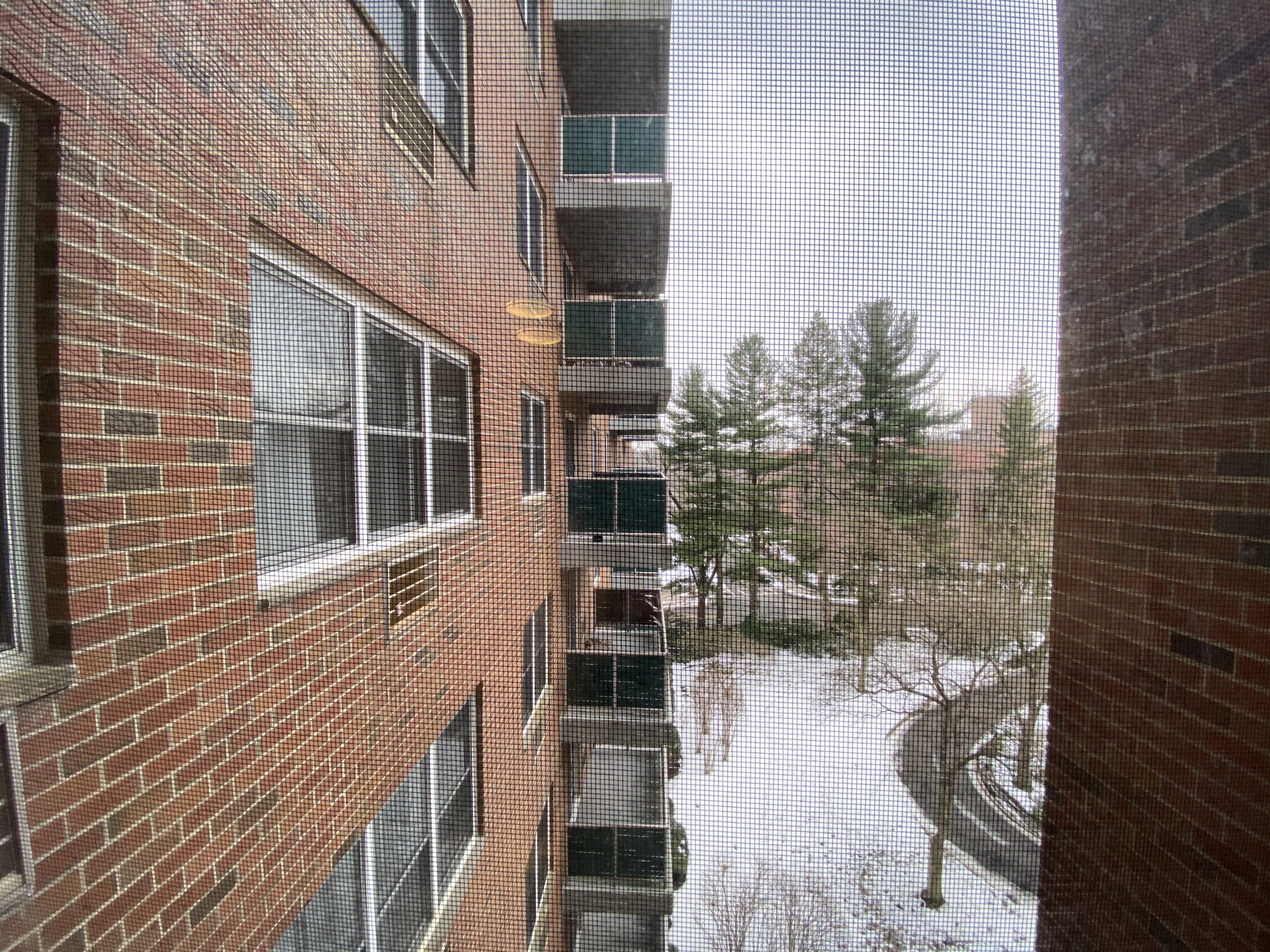 175 Freeman St, Longwood