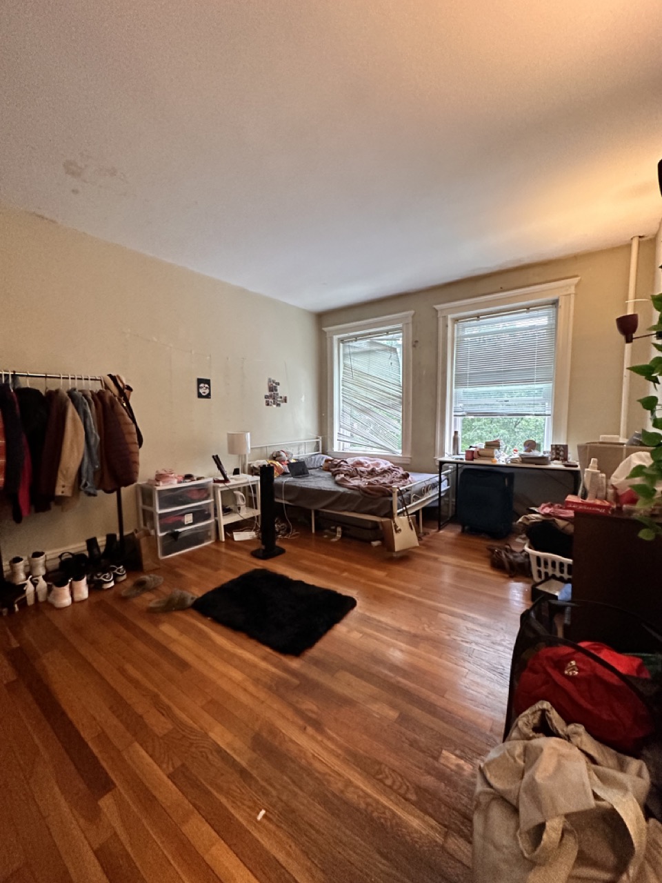 317 Saint Paul St, Longwood