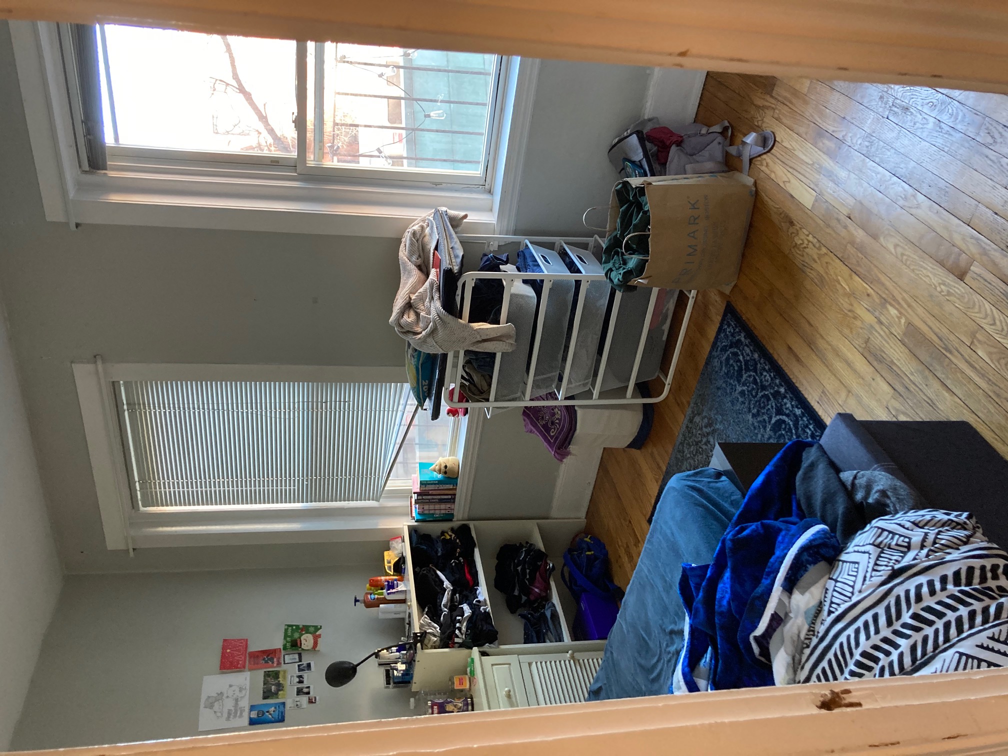 7 Grove St, Beacon Hill