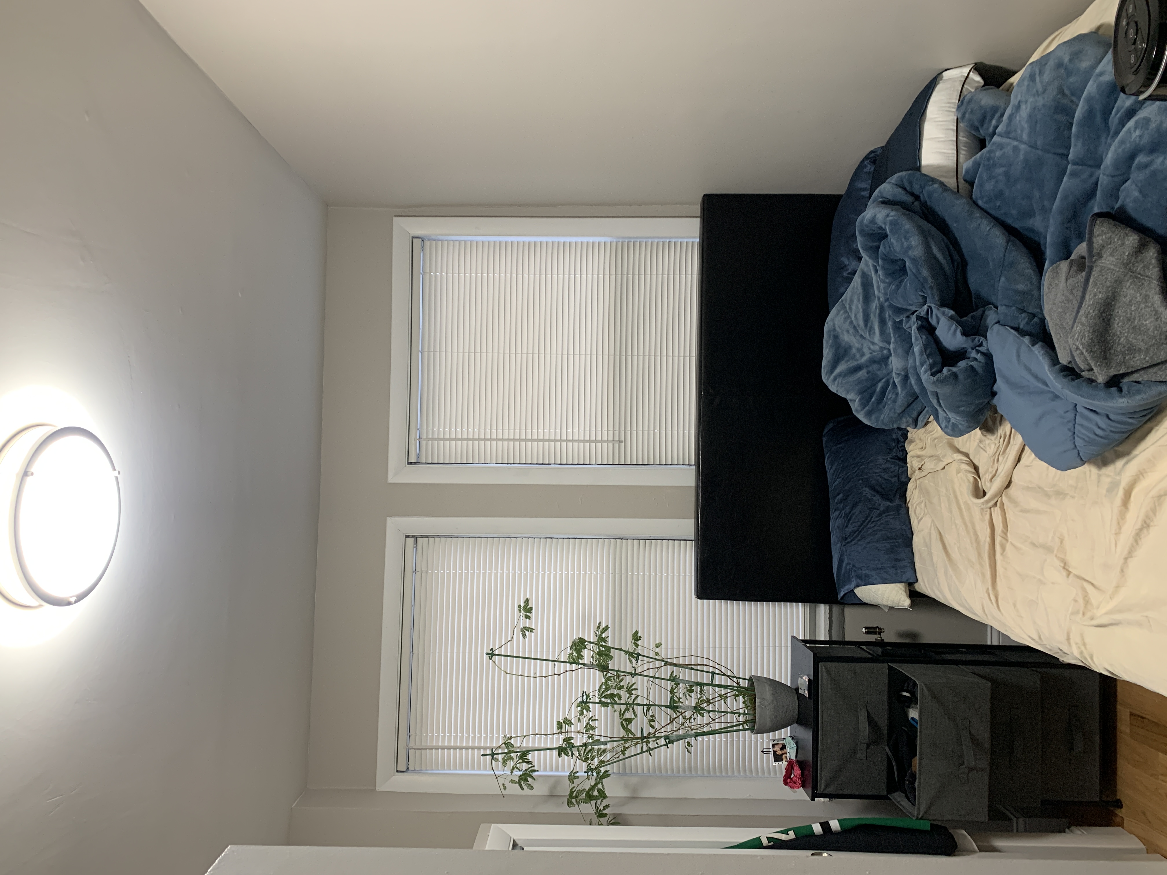 50 Park Vale Ave, Allston