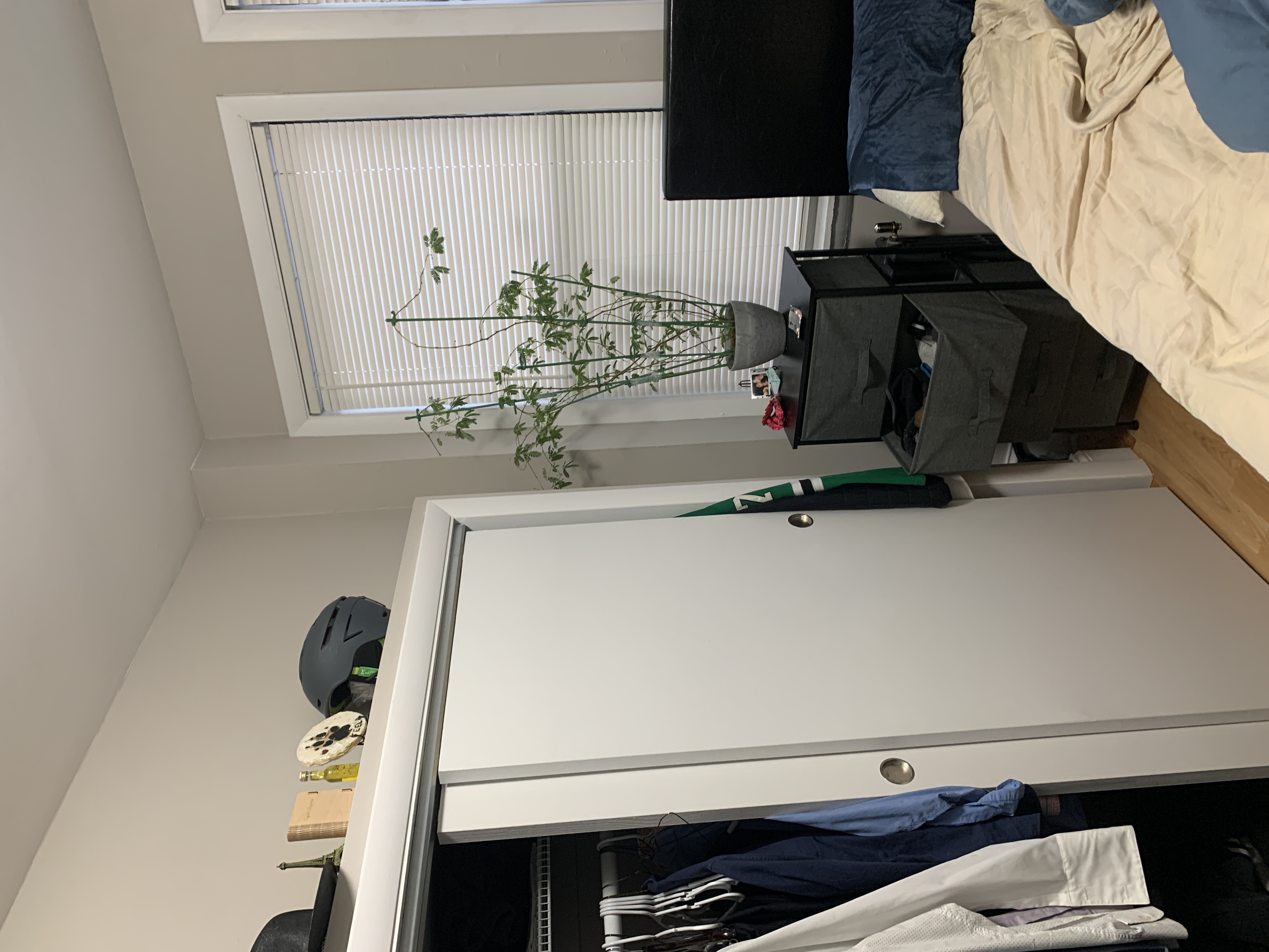 50 Park Vale Ave, Allston