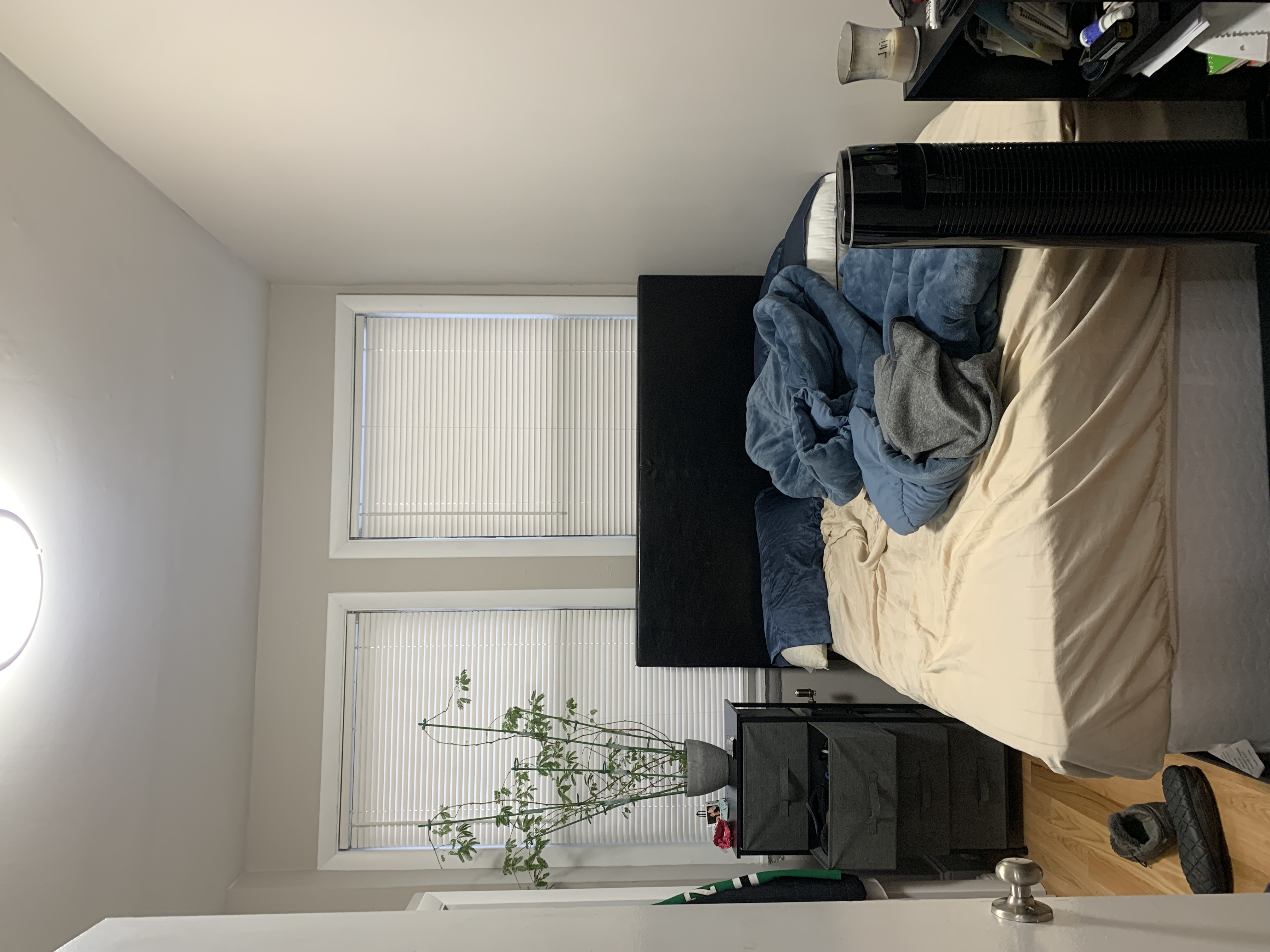 50 Park Vale Ave, Allston