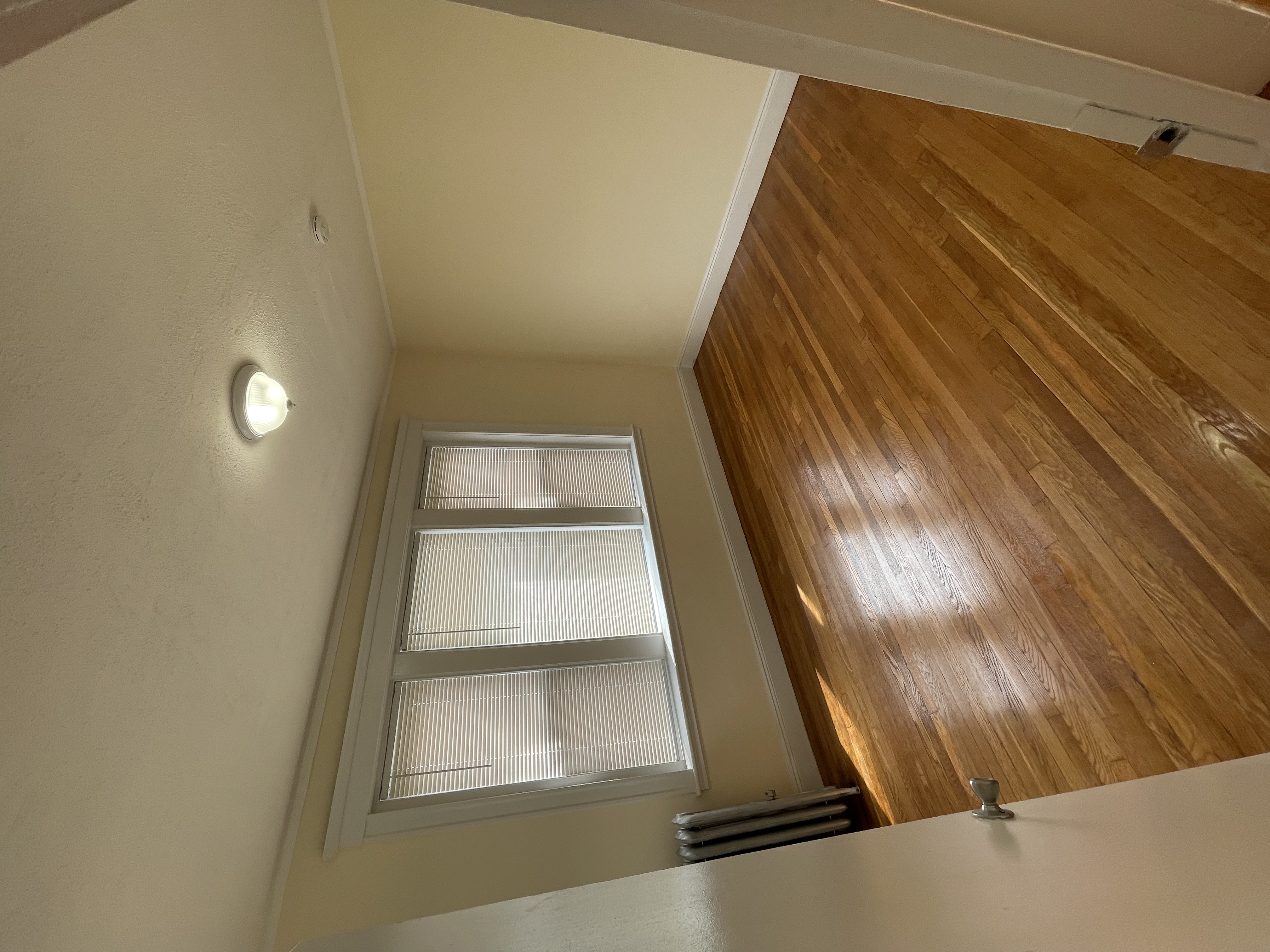 35 Orkney Rd, Brighton