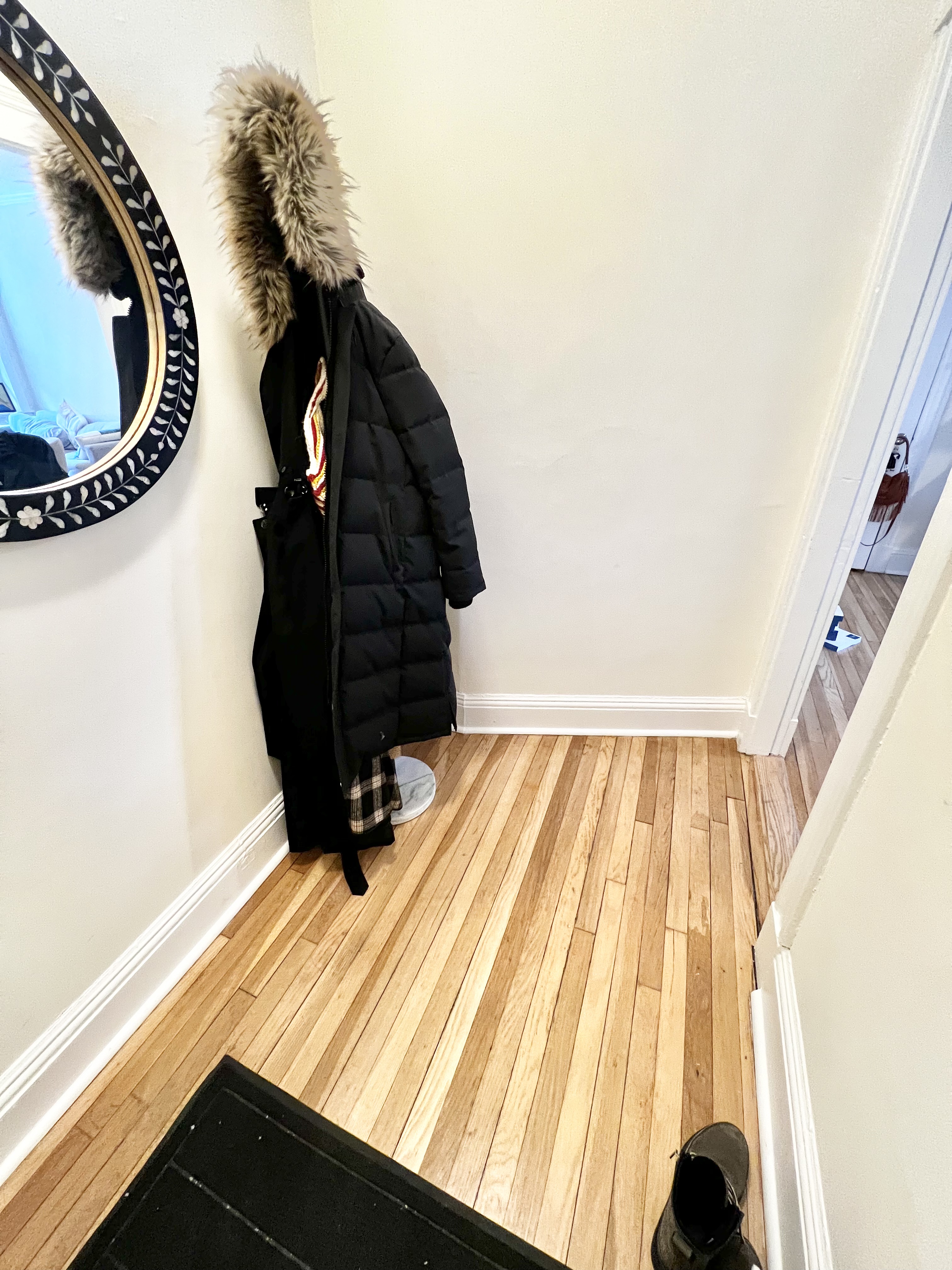 19 Chauncy, Harvard Square