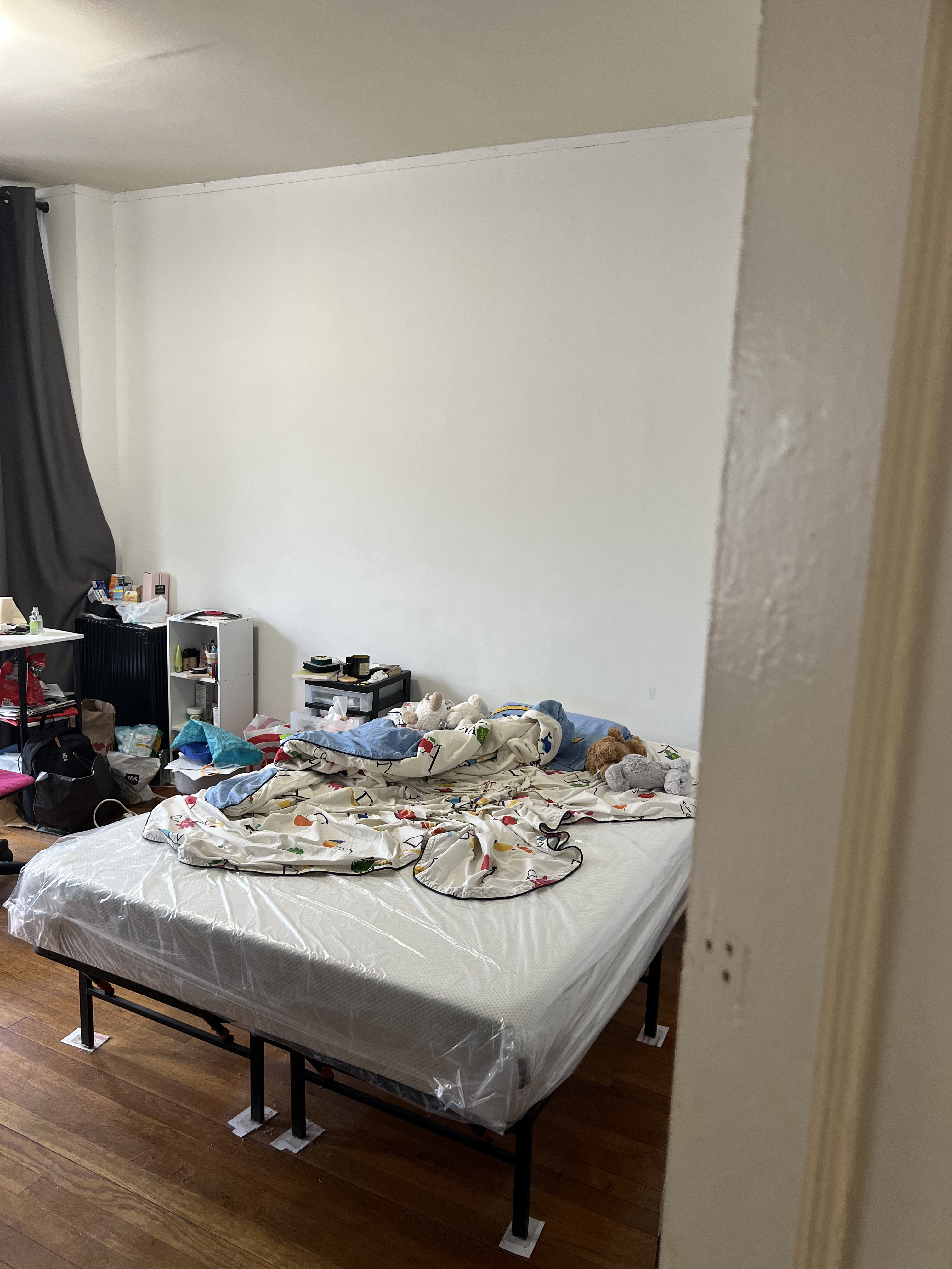 24 Westland Ave, Fenway