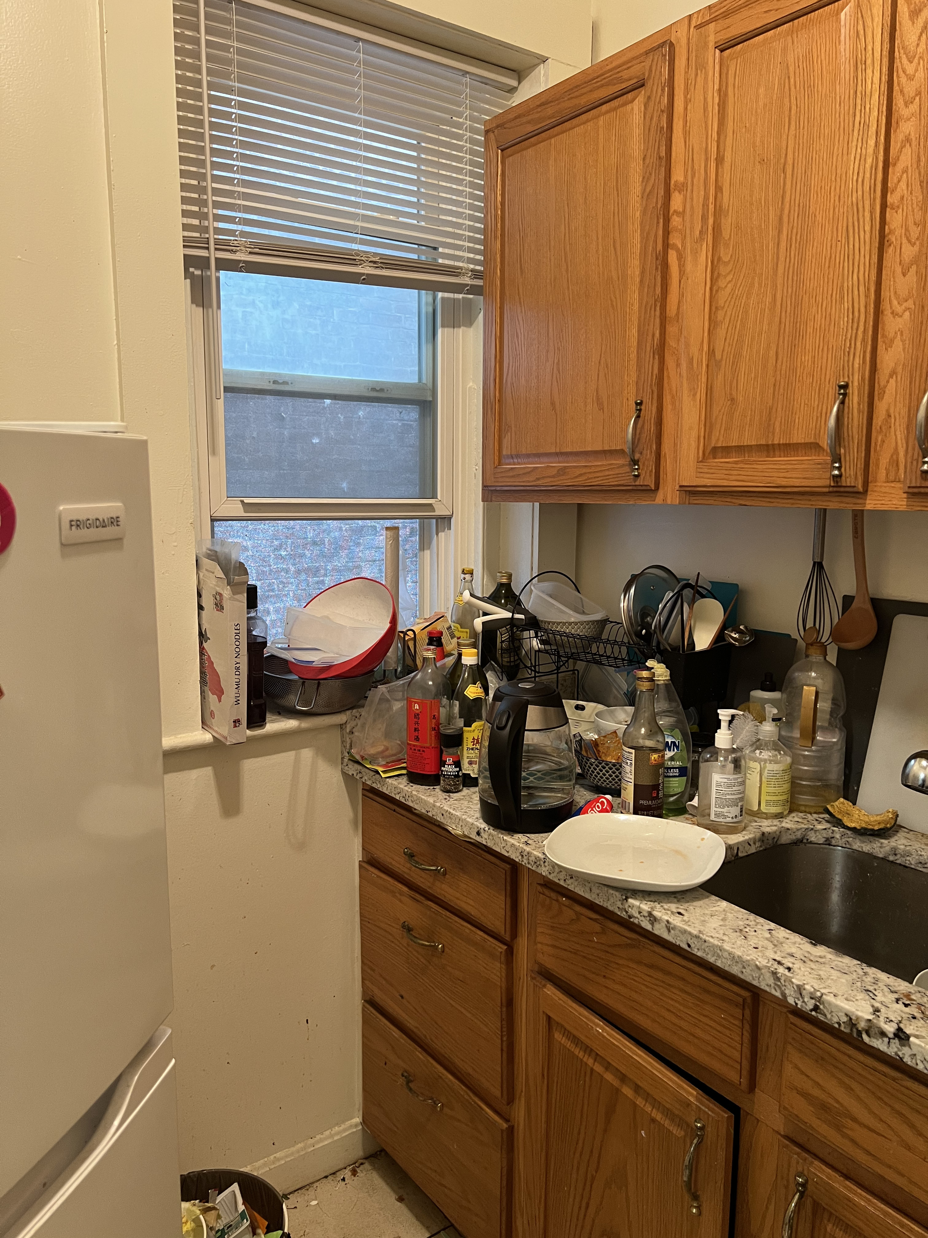 24 Westland Ave, Fenway