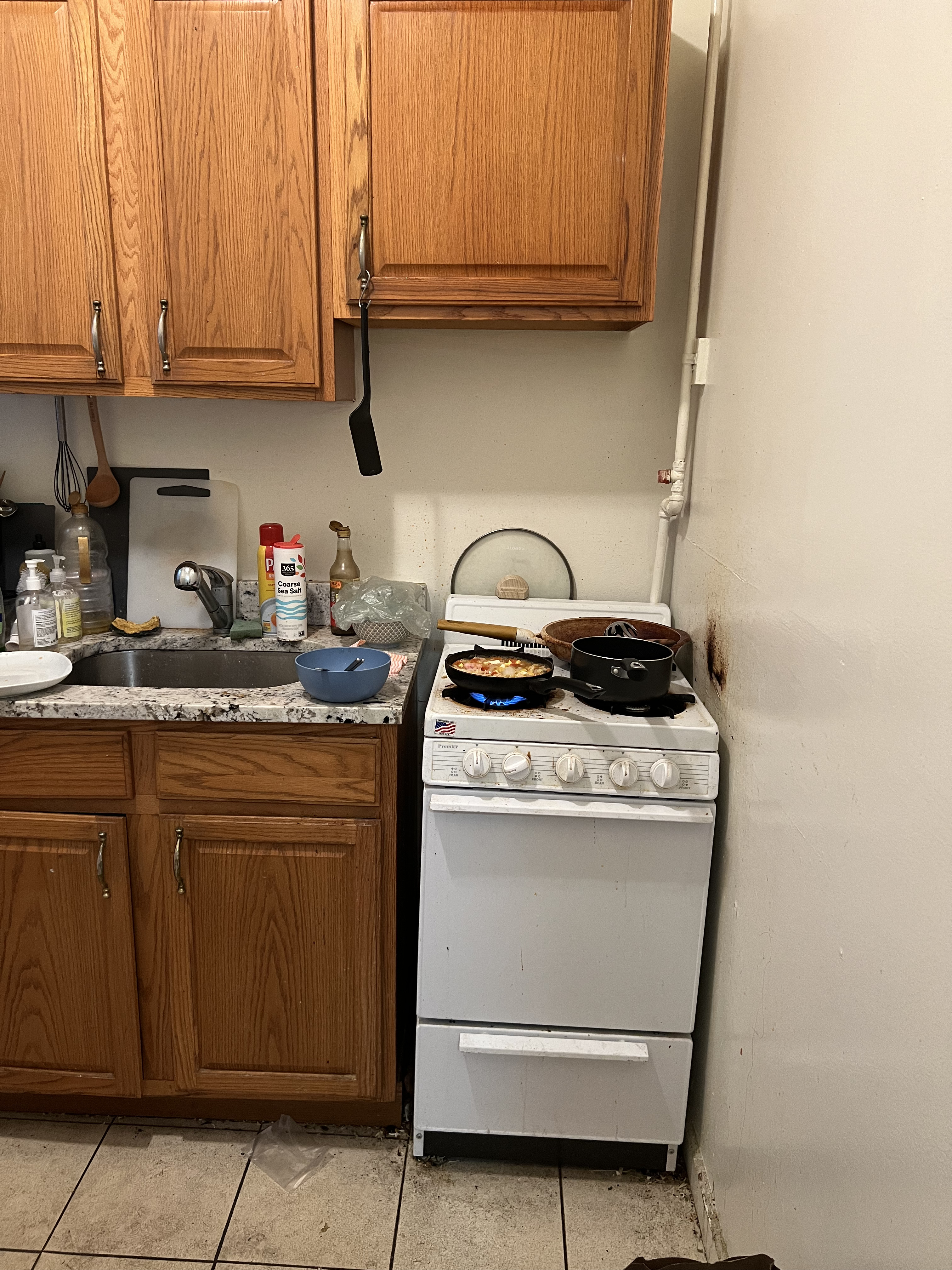 24 Westland Ave, Fenway