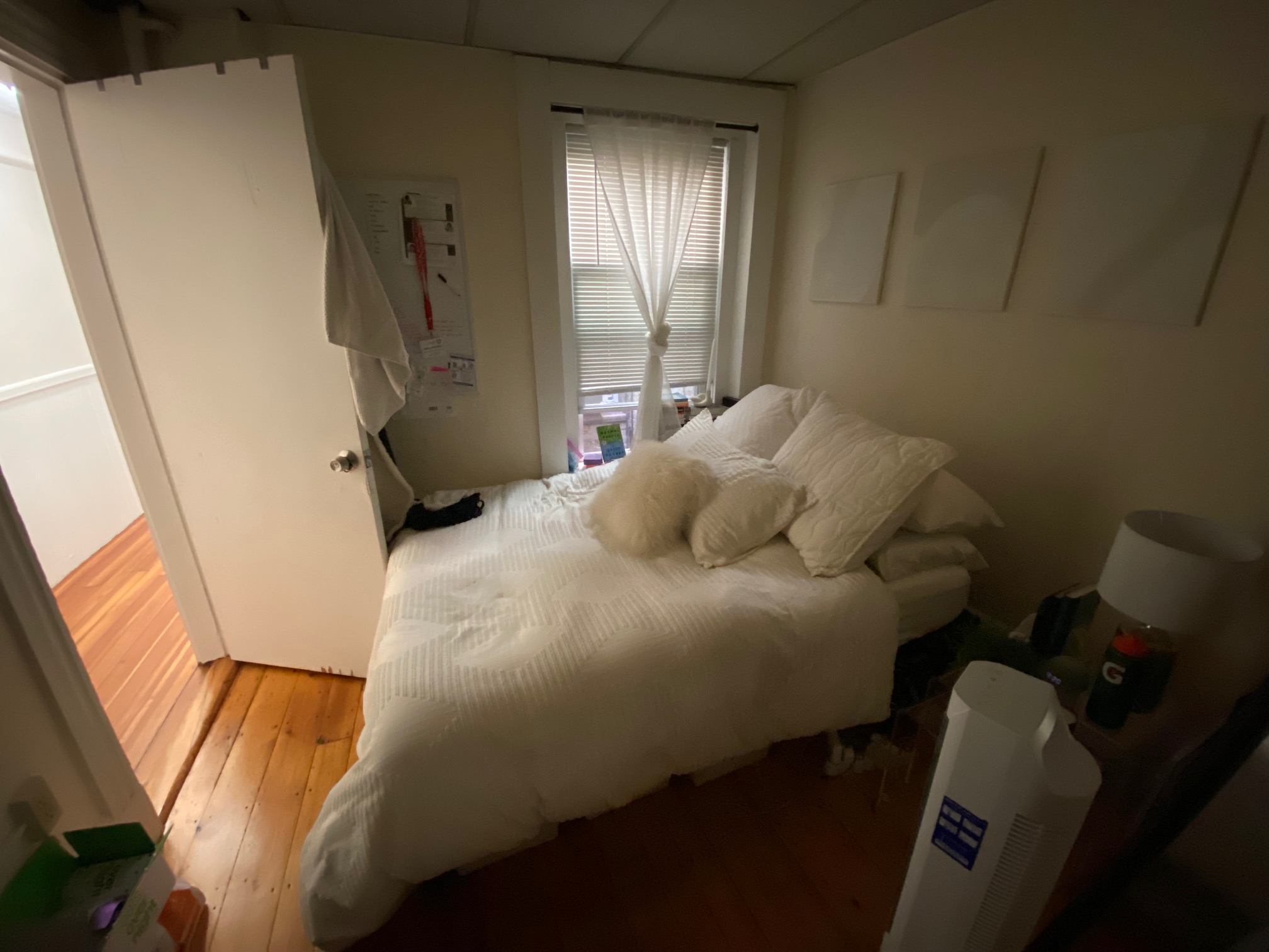 55 Joy St, Beacon Hill