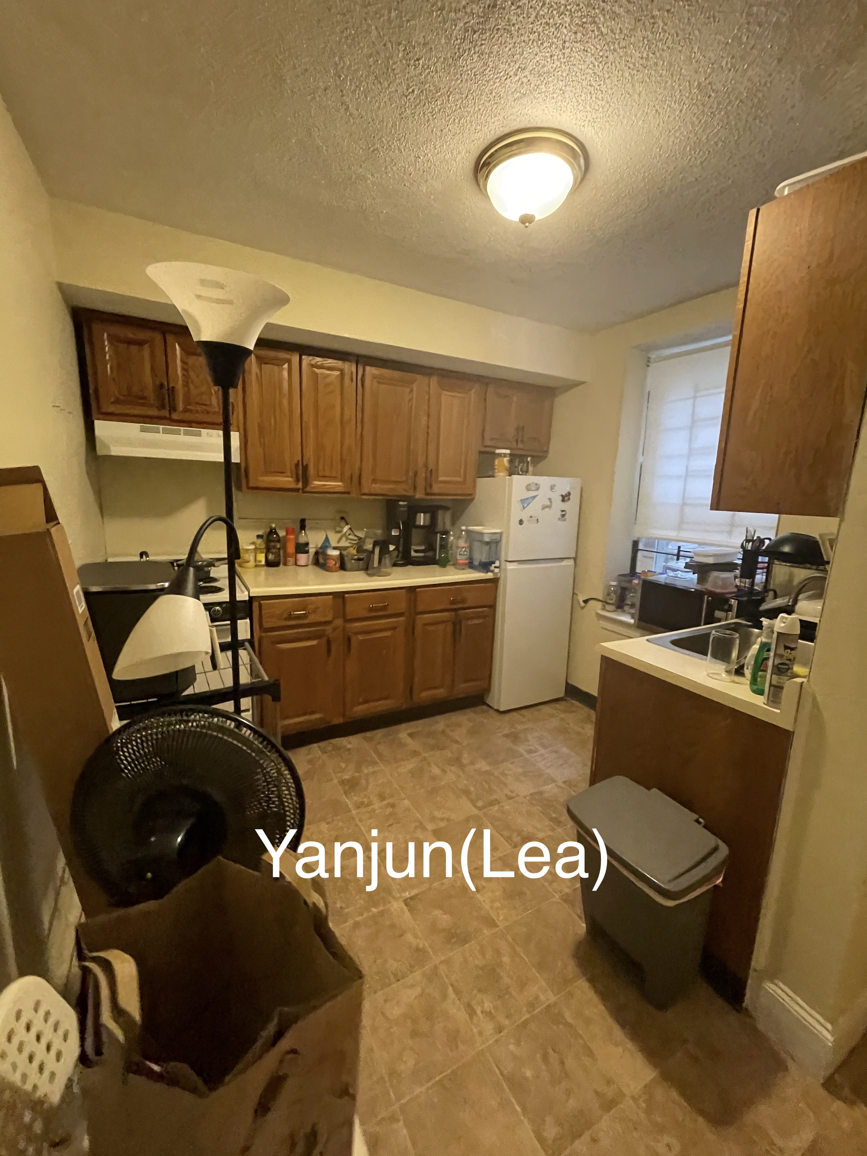 159 Kelton St, Brighton