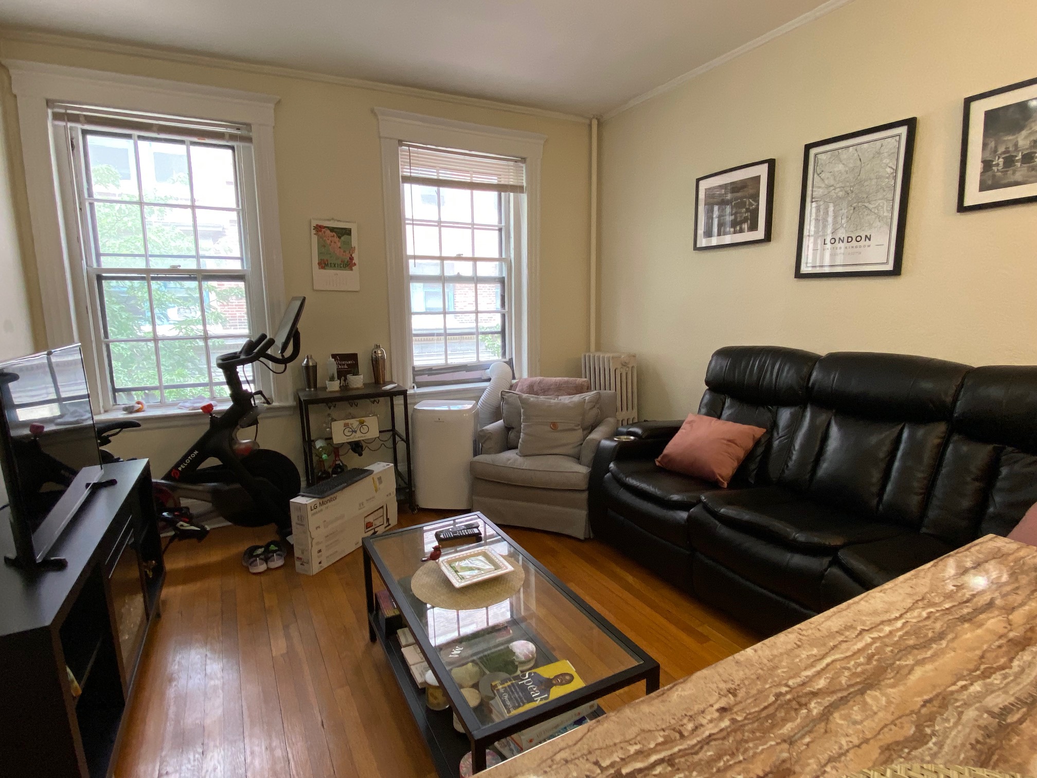 26 Myrtle St, Beacon Hill