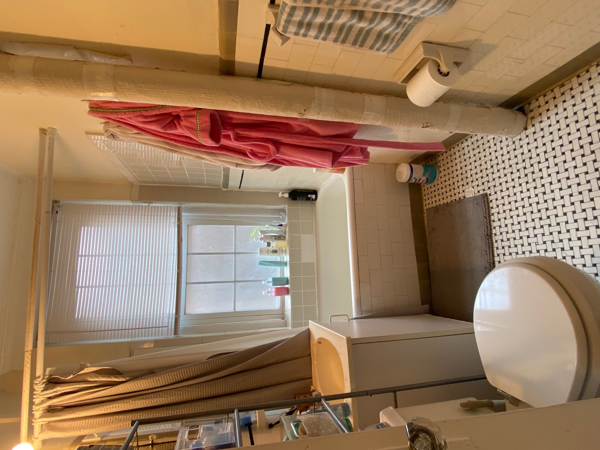 26 Myrtle St, Beacon Hill