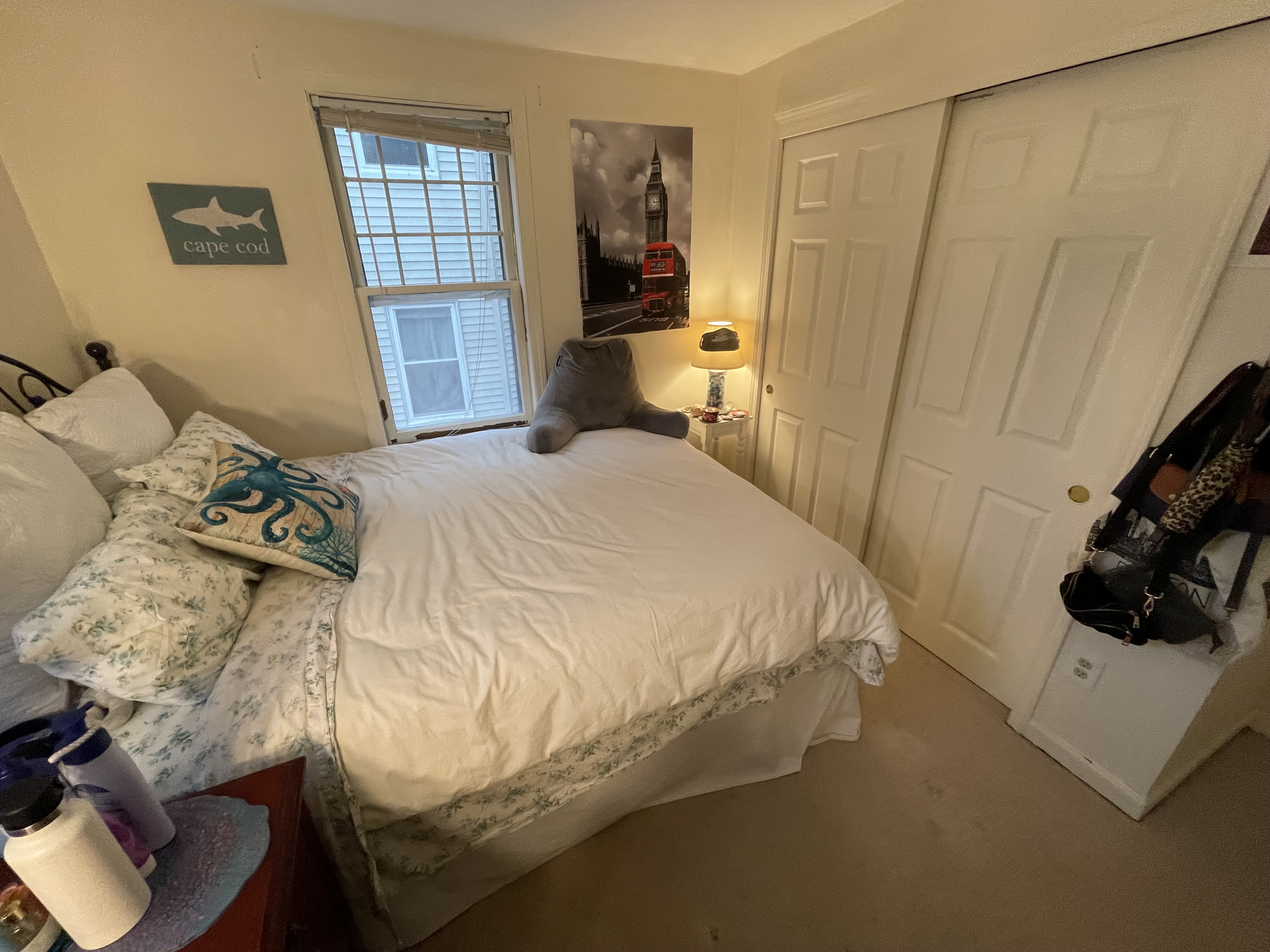 20 Eliot St, Chestnut Hill