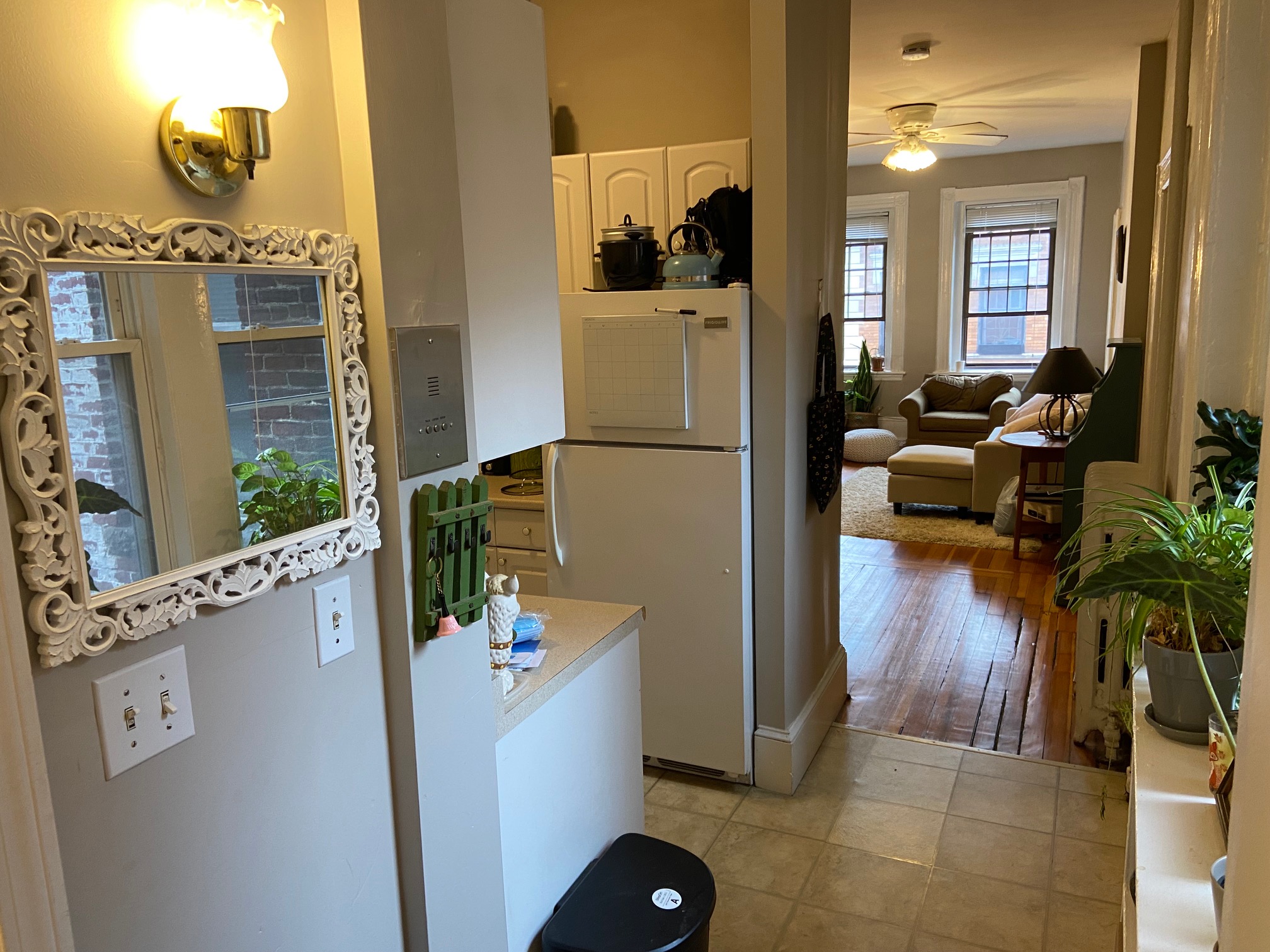 99 Myrtle St, Beacon Hill