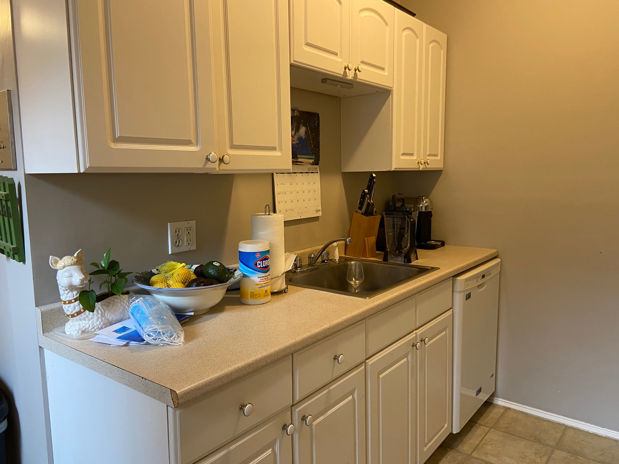 99 Myrtle St, Beacon Hill