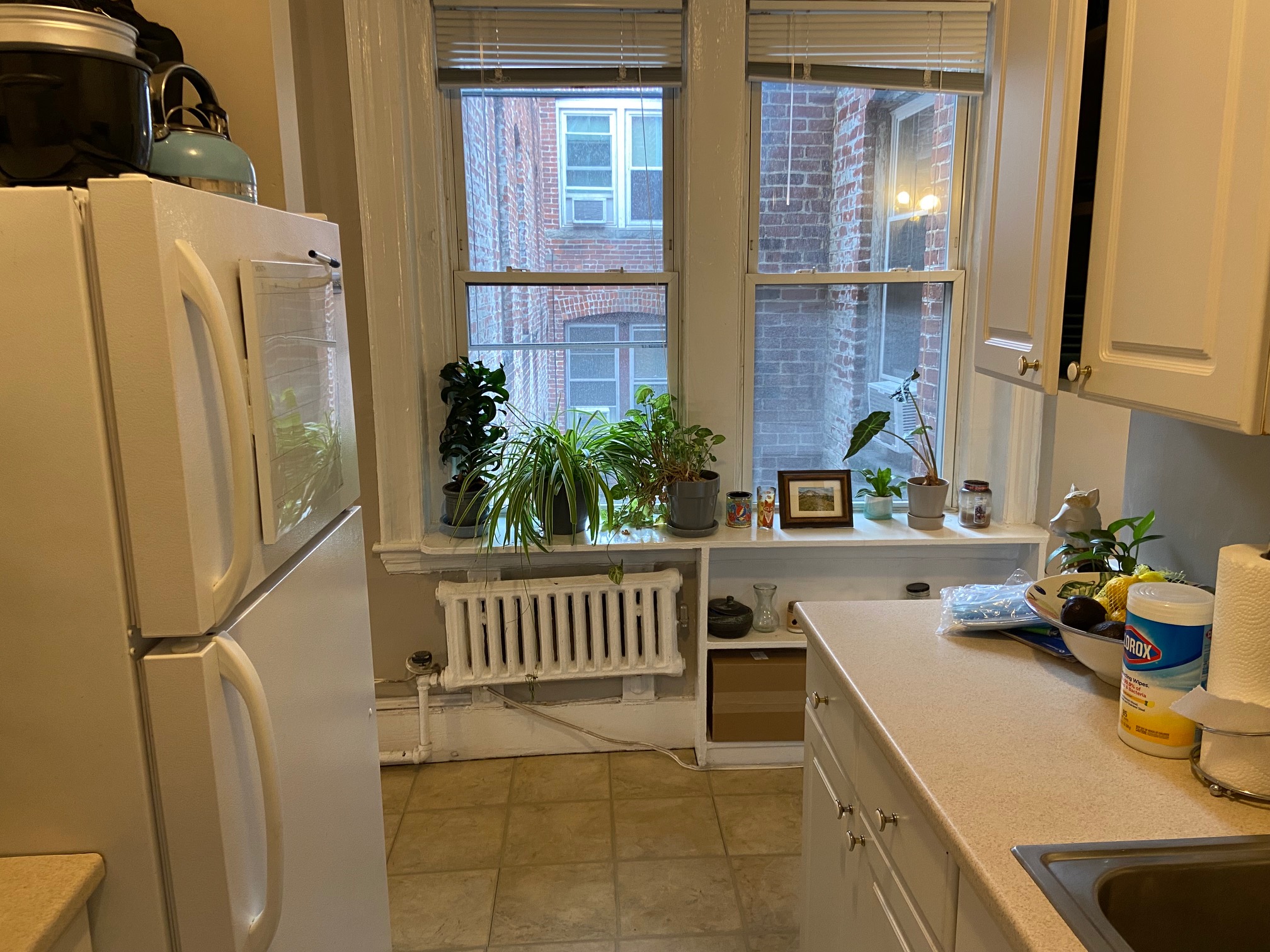 99 Myrtle St, Beacon Hill