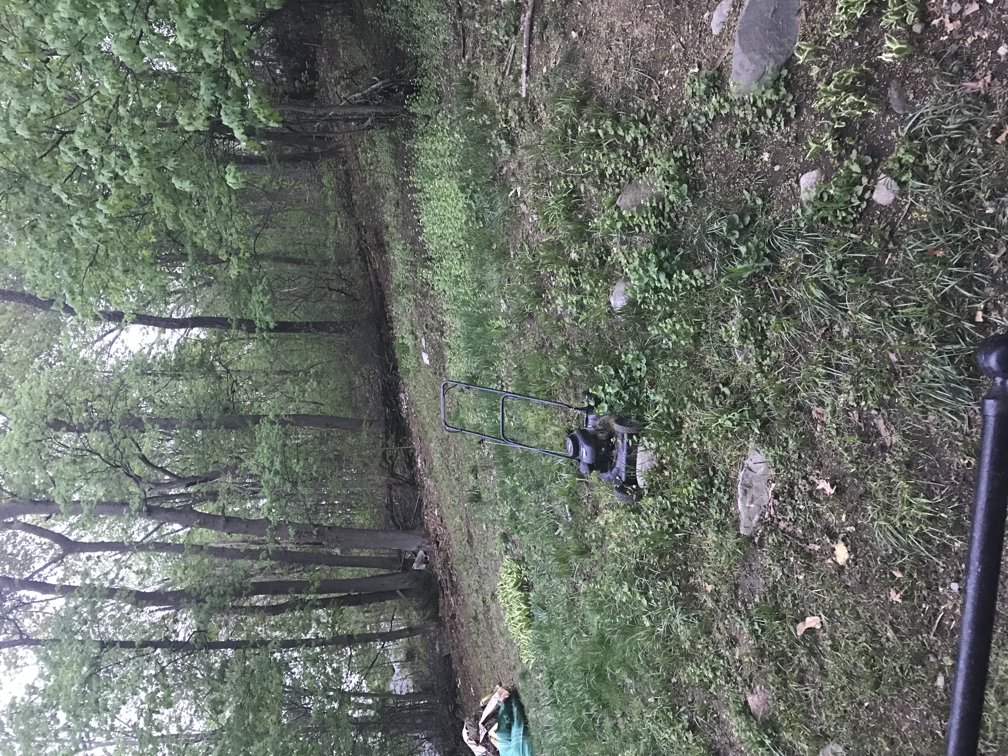 203 Bigelow St, Brighton